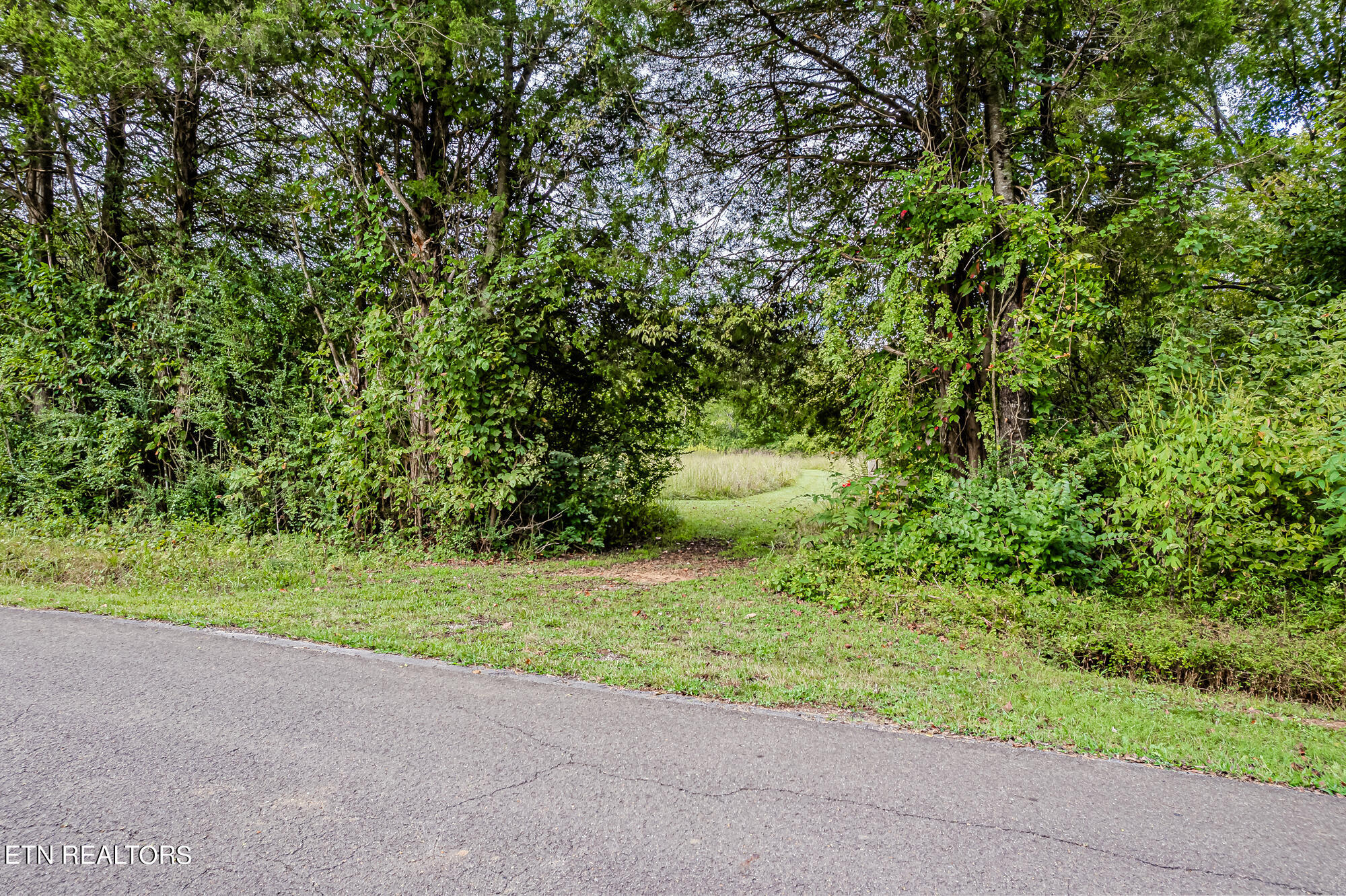 County Road 432 Englewood TN 37329