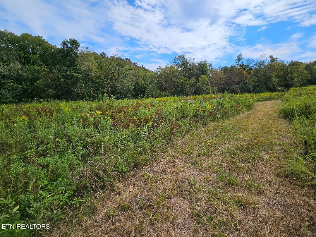 00 Tn-96 Buffalo Valley TN 38548