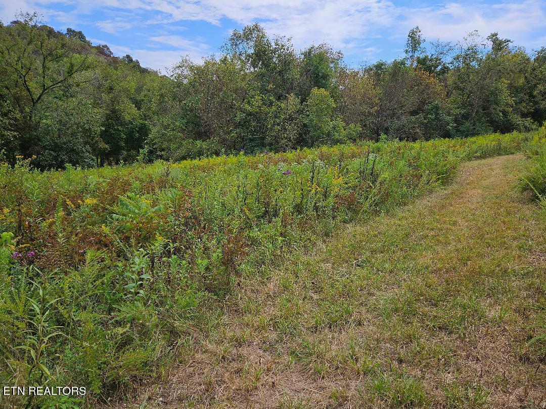 00 Tn-96 Buffalo Valley TN 38548