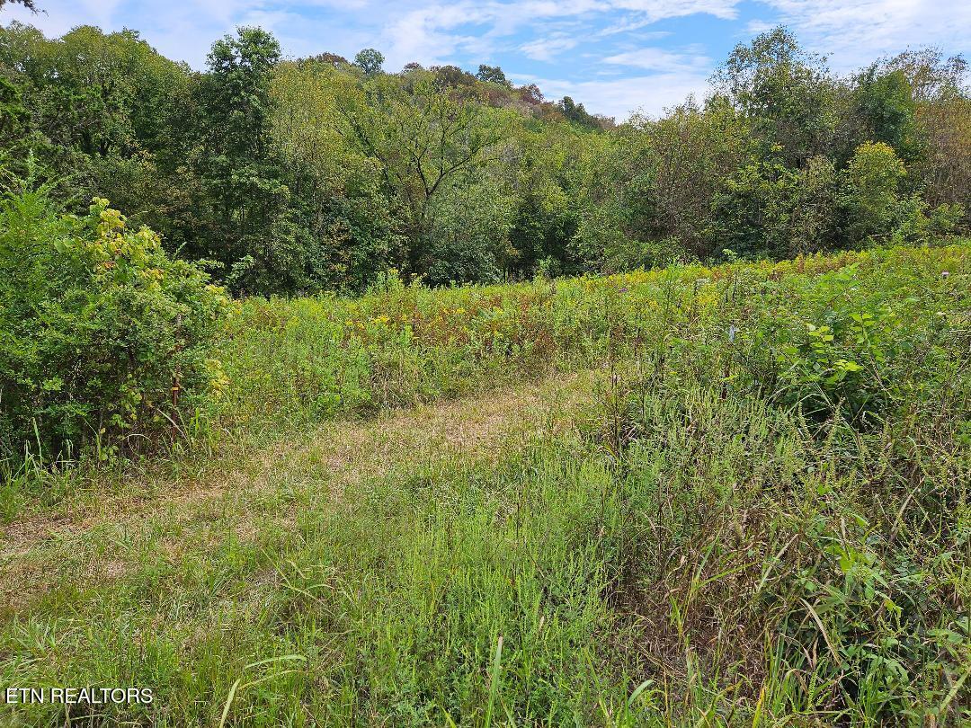 00 Tn-96 Buffalo Valley TN 38548