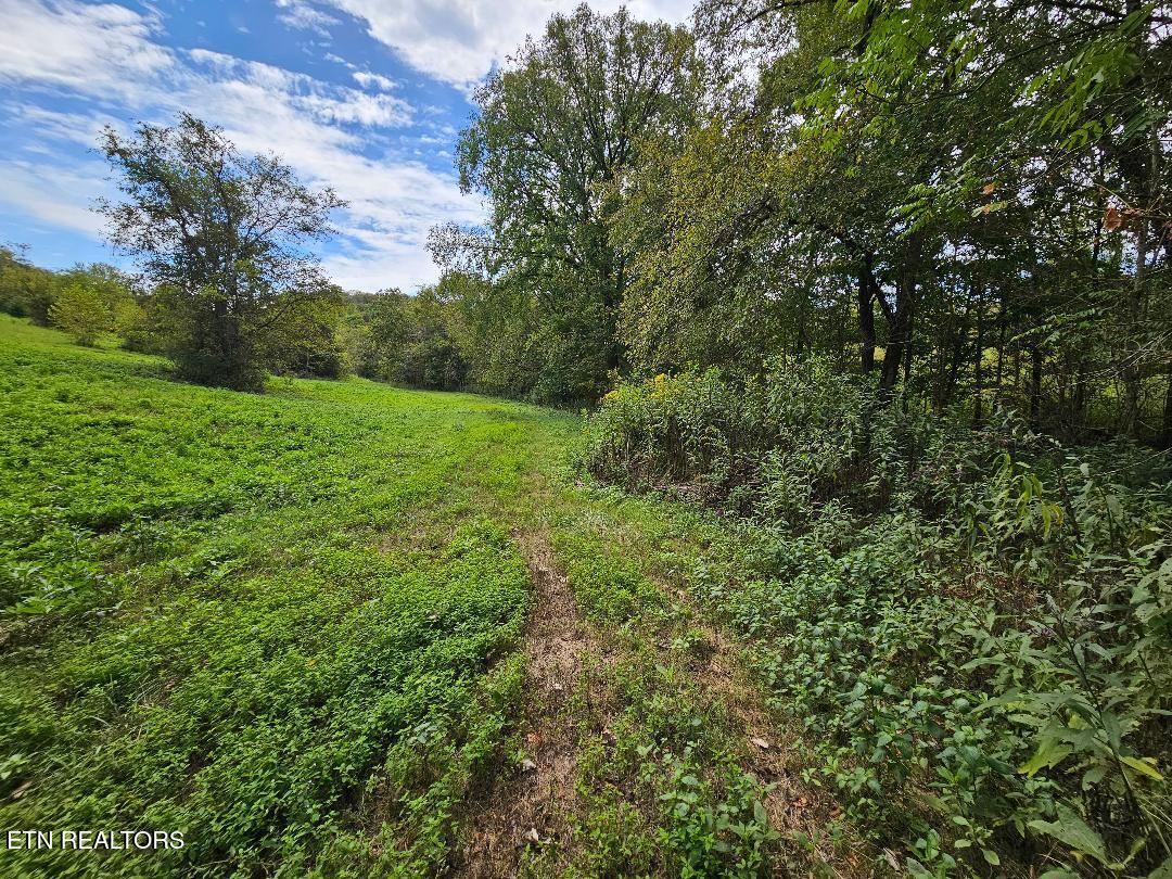 00 Tn-96 Buffalo Valley TN 38548