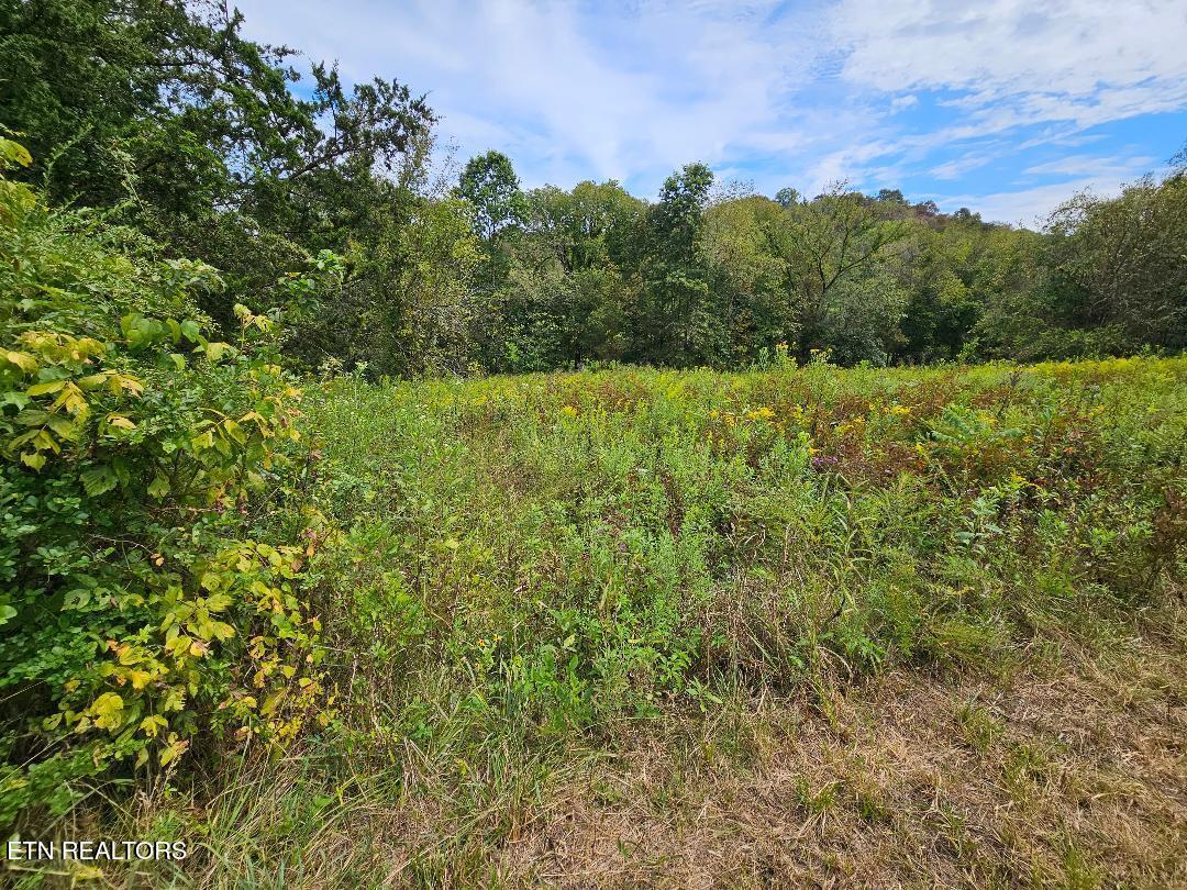 00 Tn-96 Buffalo Valley TN 38548