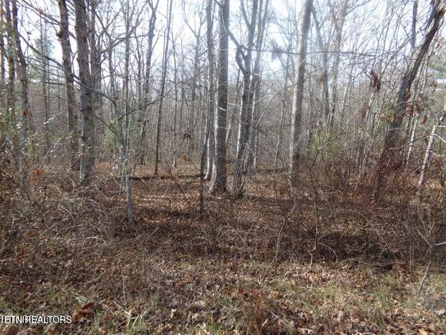 2142 Ona Road Crossville TN 38572