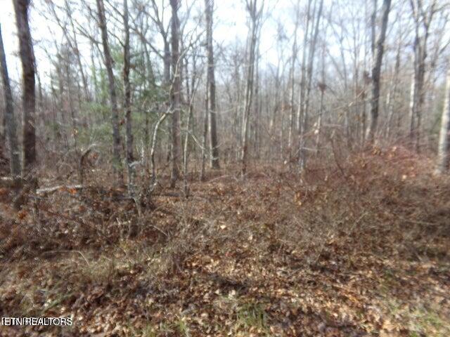 2142 Ona Road Crossville TN 38572