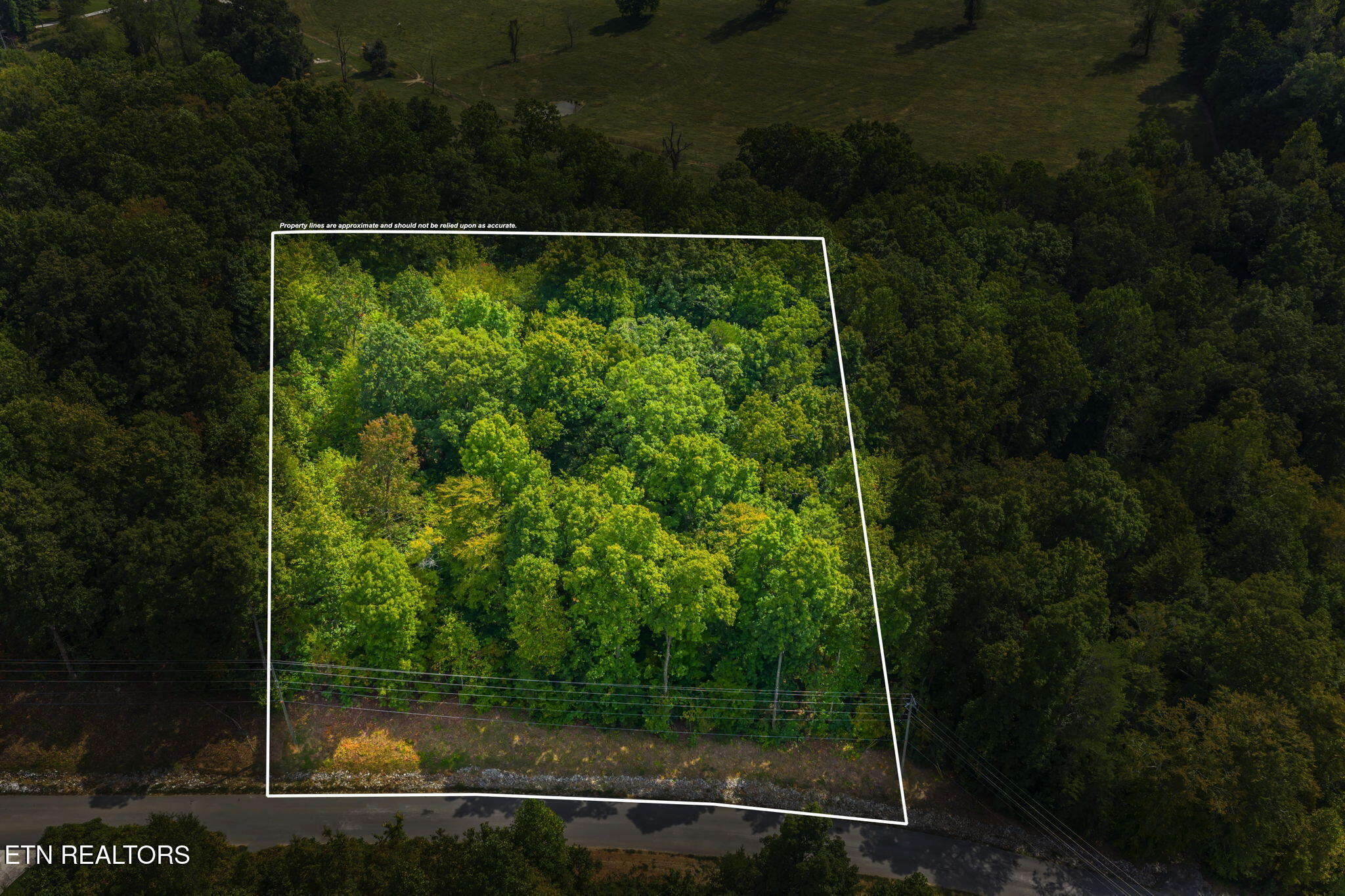 Lot 148 Hickory Point Maynardville TN 37807