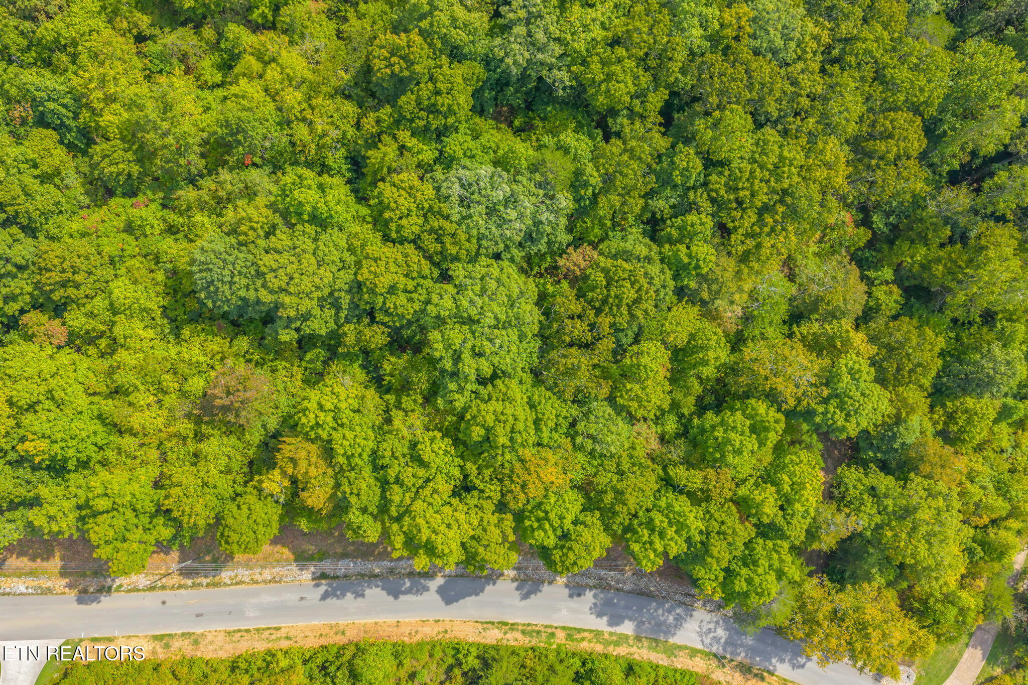 Lot 148 Hickory Point Maynardville TN 37807