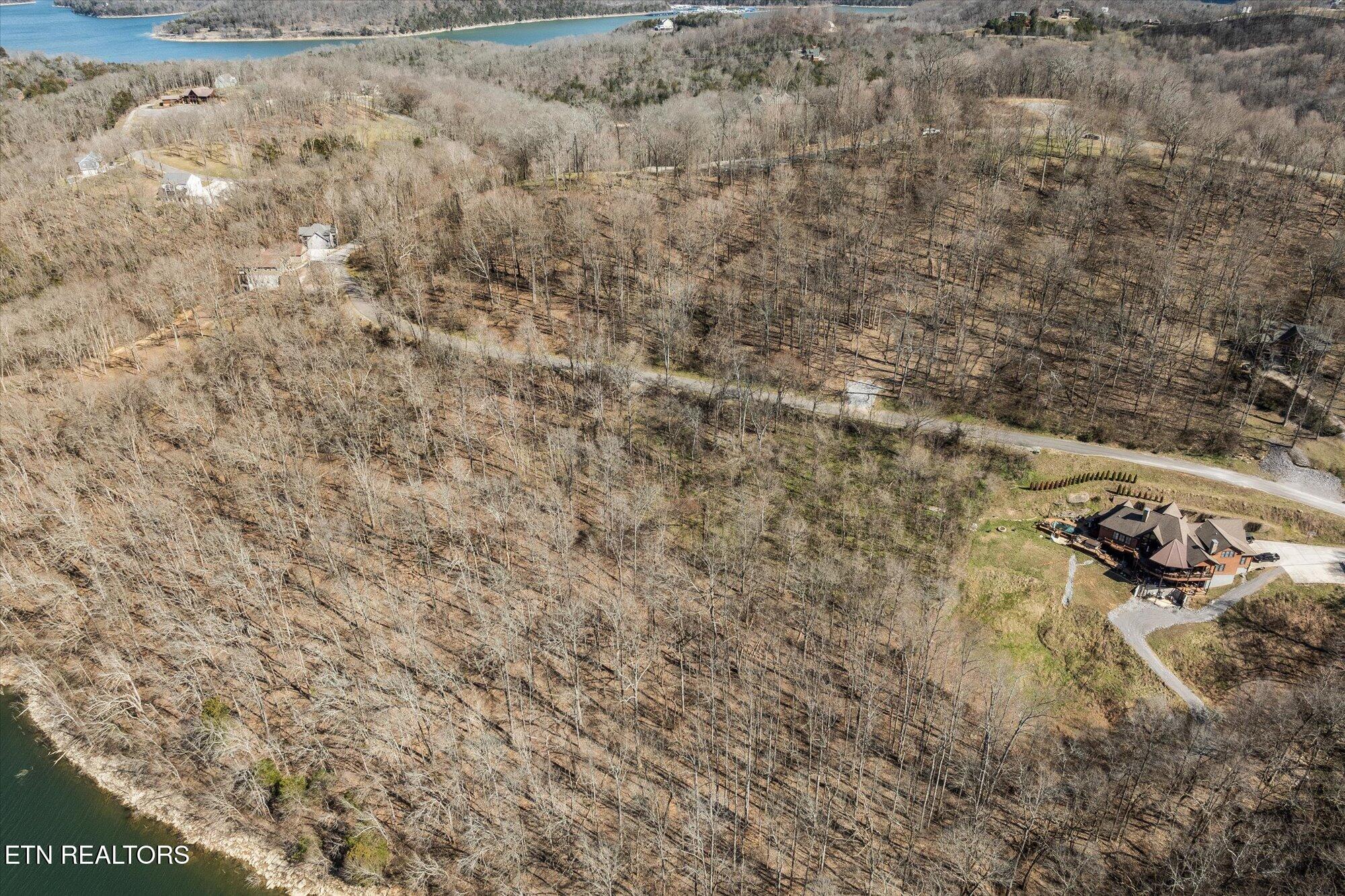 0 Williamson Circle Smithville TN 37166
