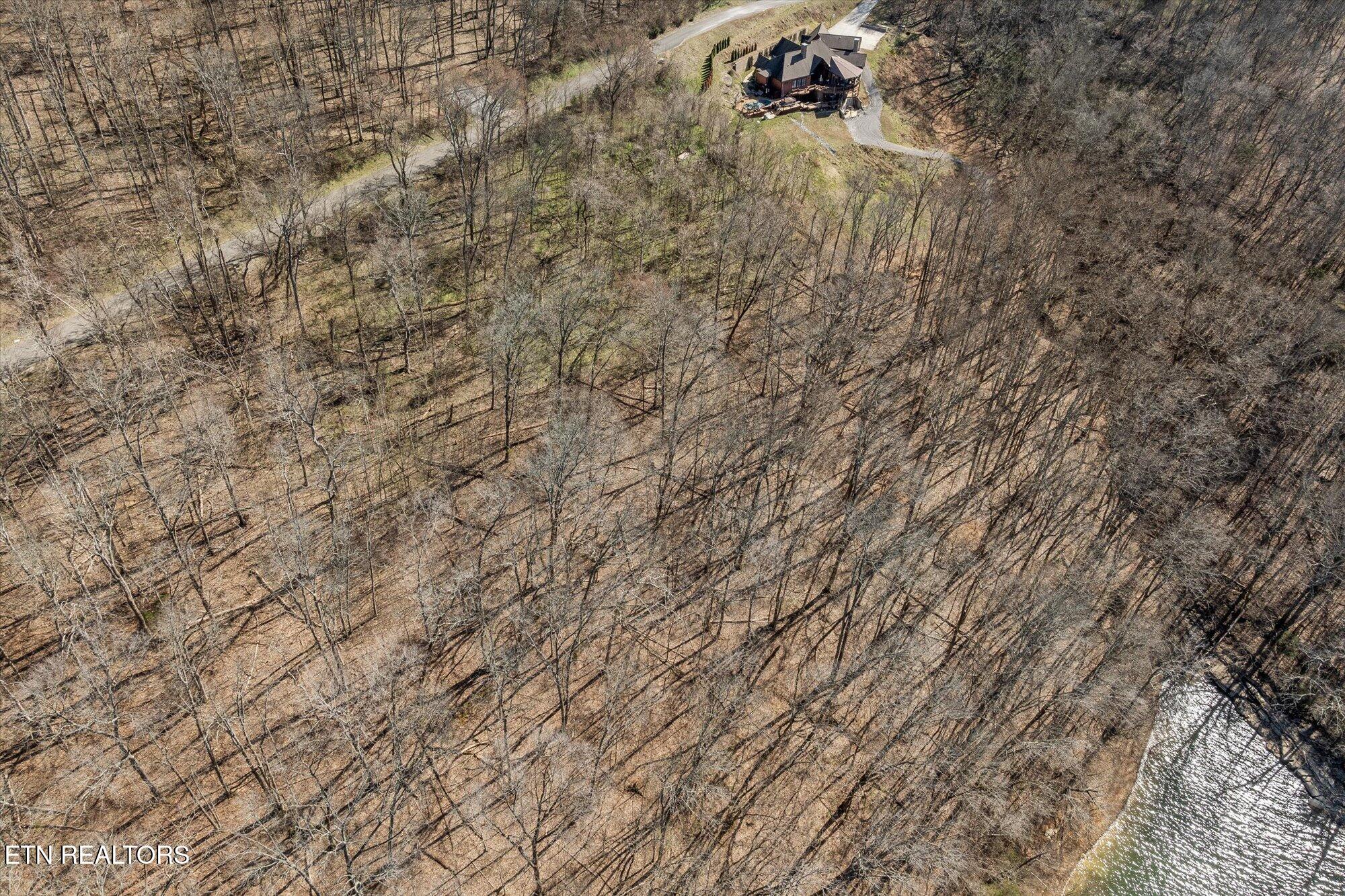 0 Williamson Circle Smithville TN 37166
