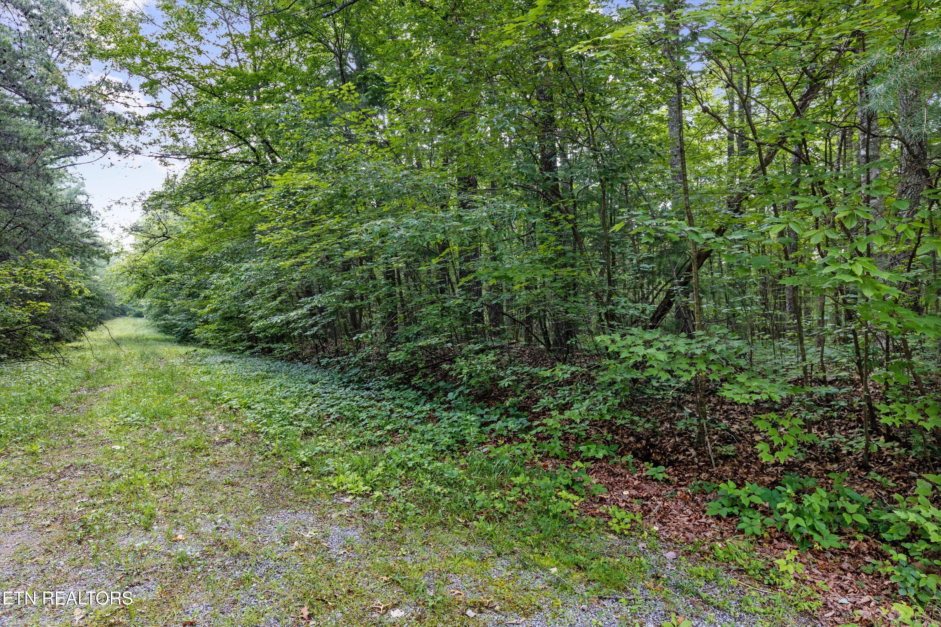 122 Banbury Lane Crossville TN 38558