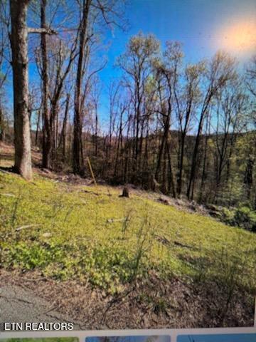 Esslinger Dr & Low Gap Road Gatlinburg TN 37738