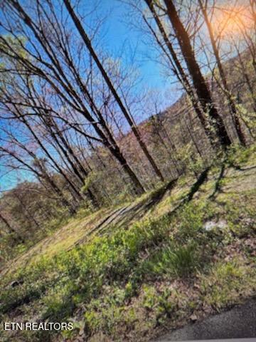 Esslinger Dr & Low Gap Road Gatlinburg TN 37738