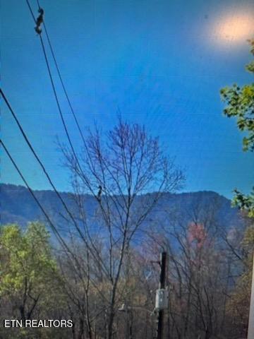 Esslinger Dr & Low Gap Road Gatlinburg TN 37738