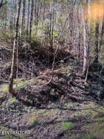 Esslinger Dr & Low Gap Road Gatlinburg TN 37738