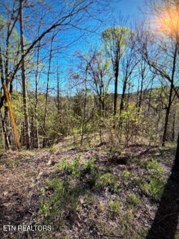 Esslinger Dr & Low Gap Road Gatlinburg TN 37738