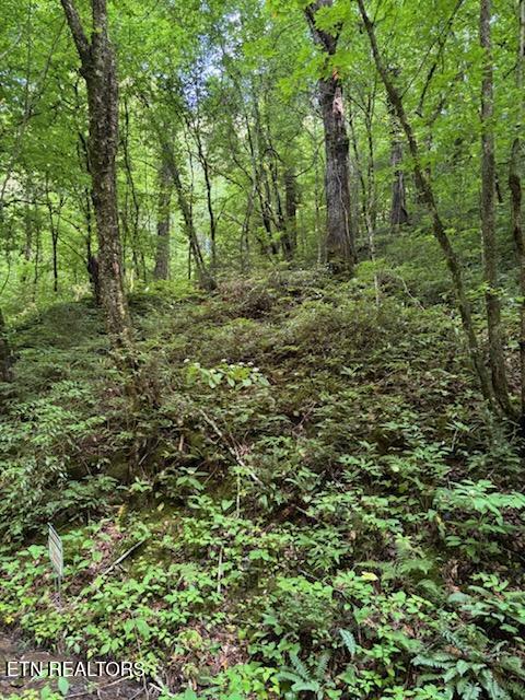Esslinger Dr & Low Gap Road Gatlinburg TN 37738