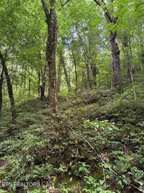 Esslinger Dr & Low Gap Road Gatlinburg TN 37738