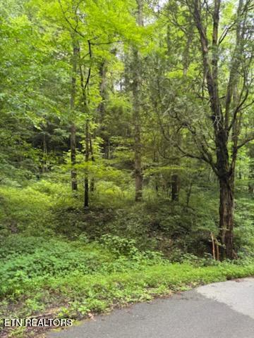 Esslinger Dr & Low Gap Road Gatlinburg TN 37738