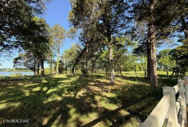 308 Mcreynolds Road Friendsville TN 37737