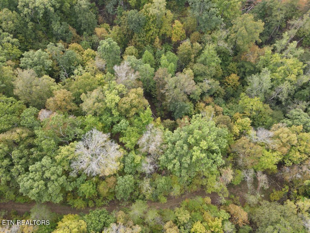 Hodges Court Baneberry TN 37890
