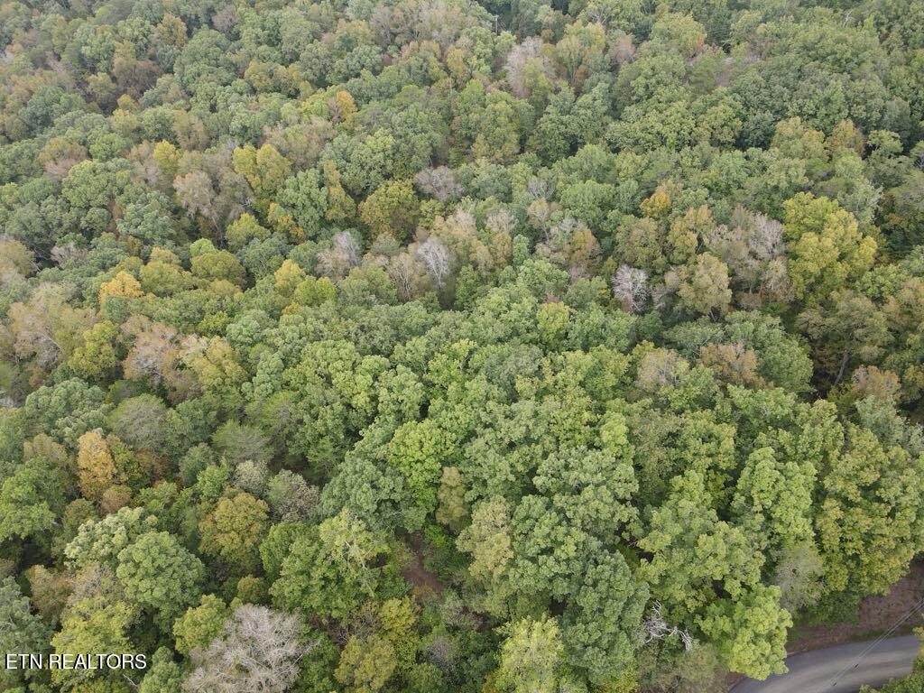 Hodges Court Baneberry TN 37890