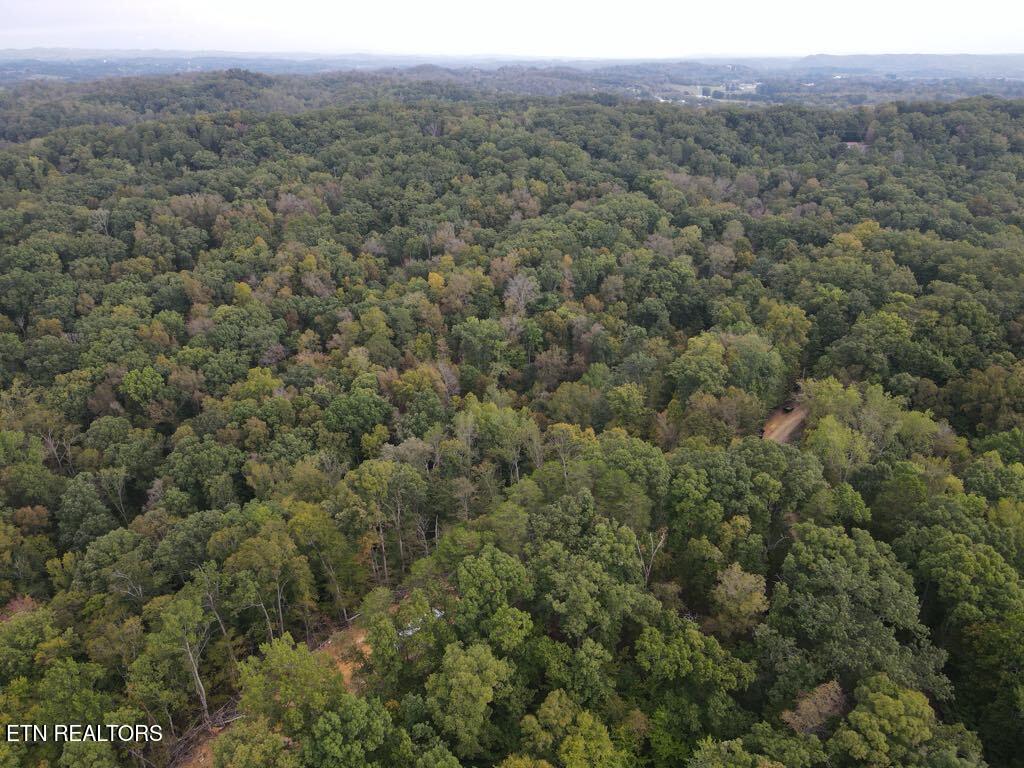 Hodges Court Baneberry TN 37890
