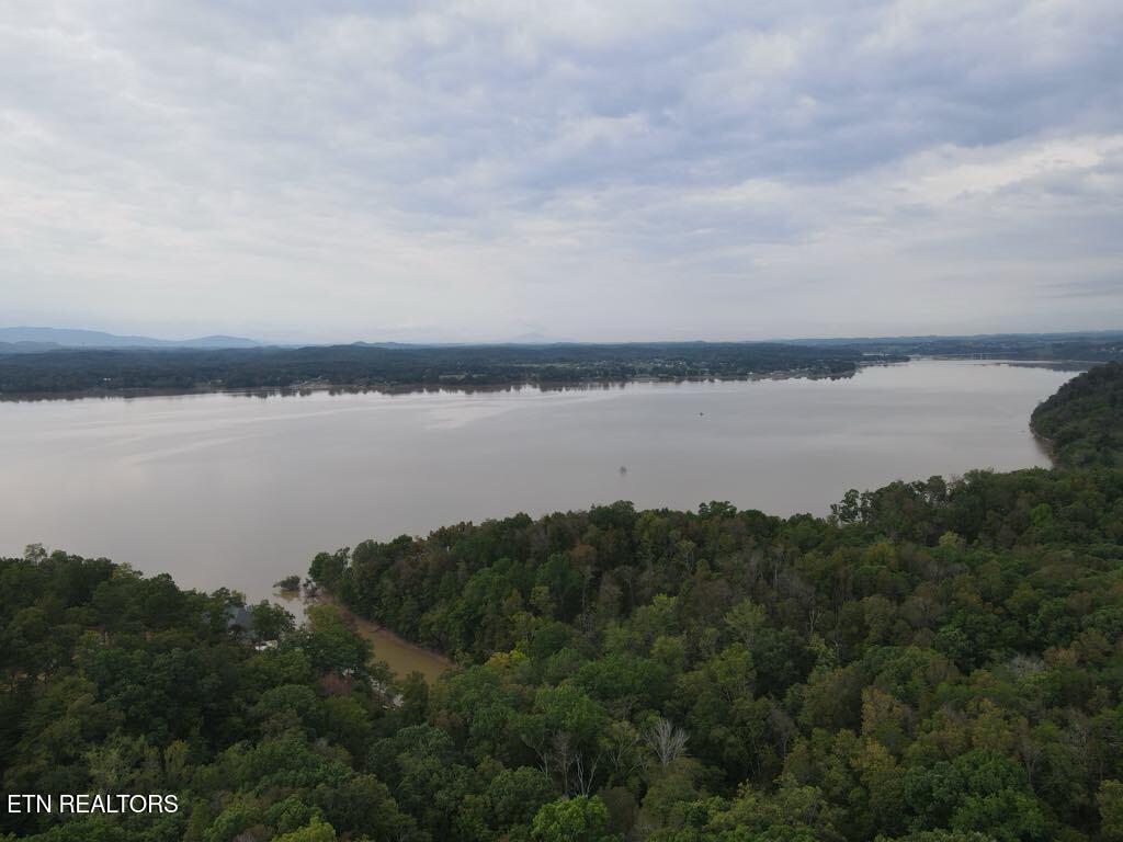 Hodges Court Baneberry TN 37890