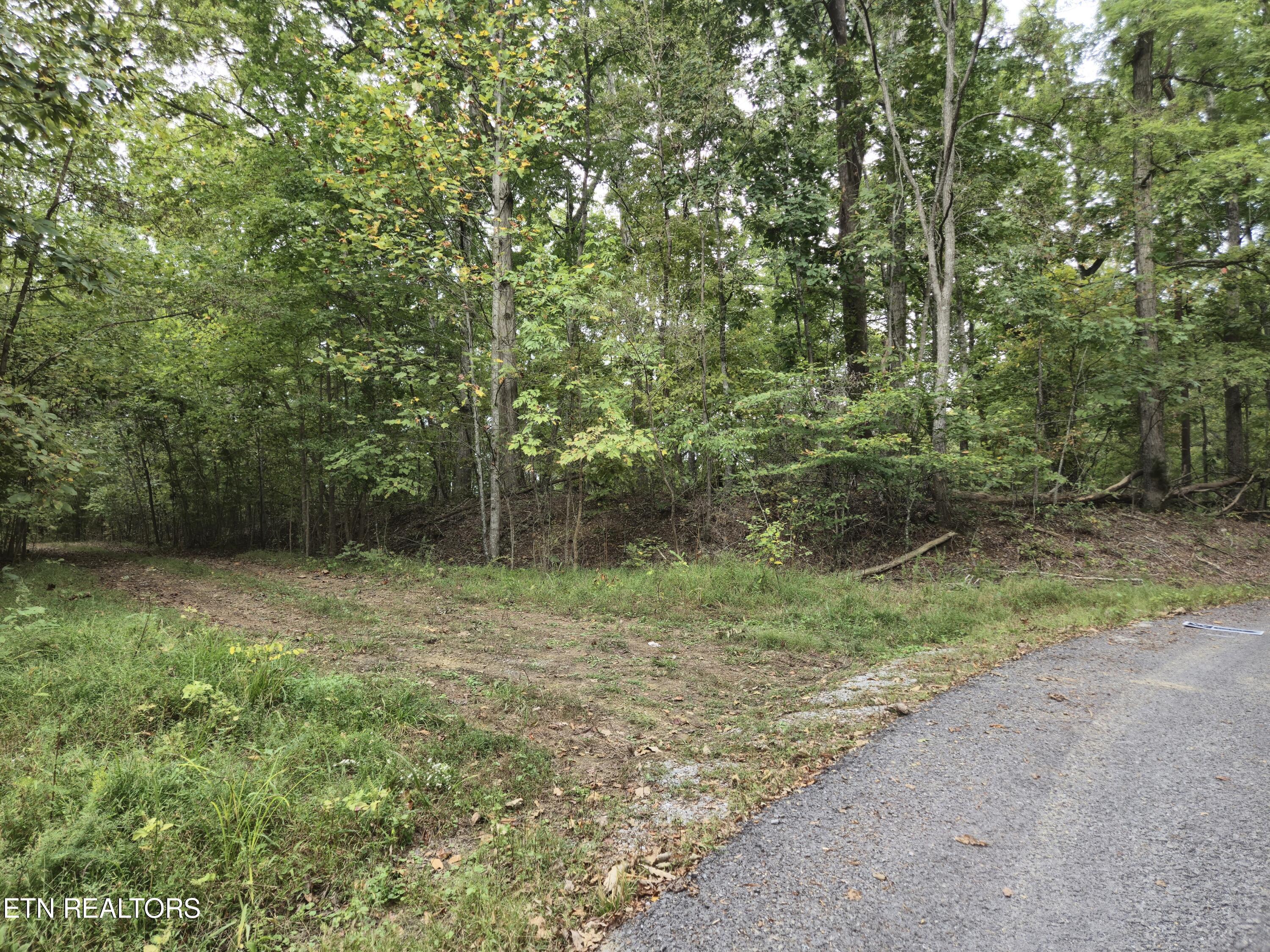 Hodges Court Baneberry TN 37890