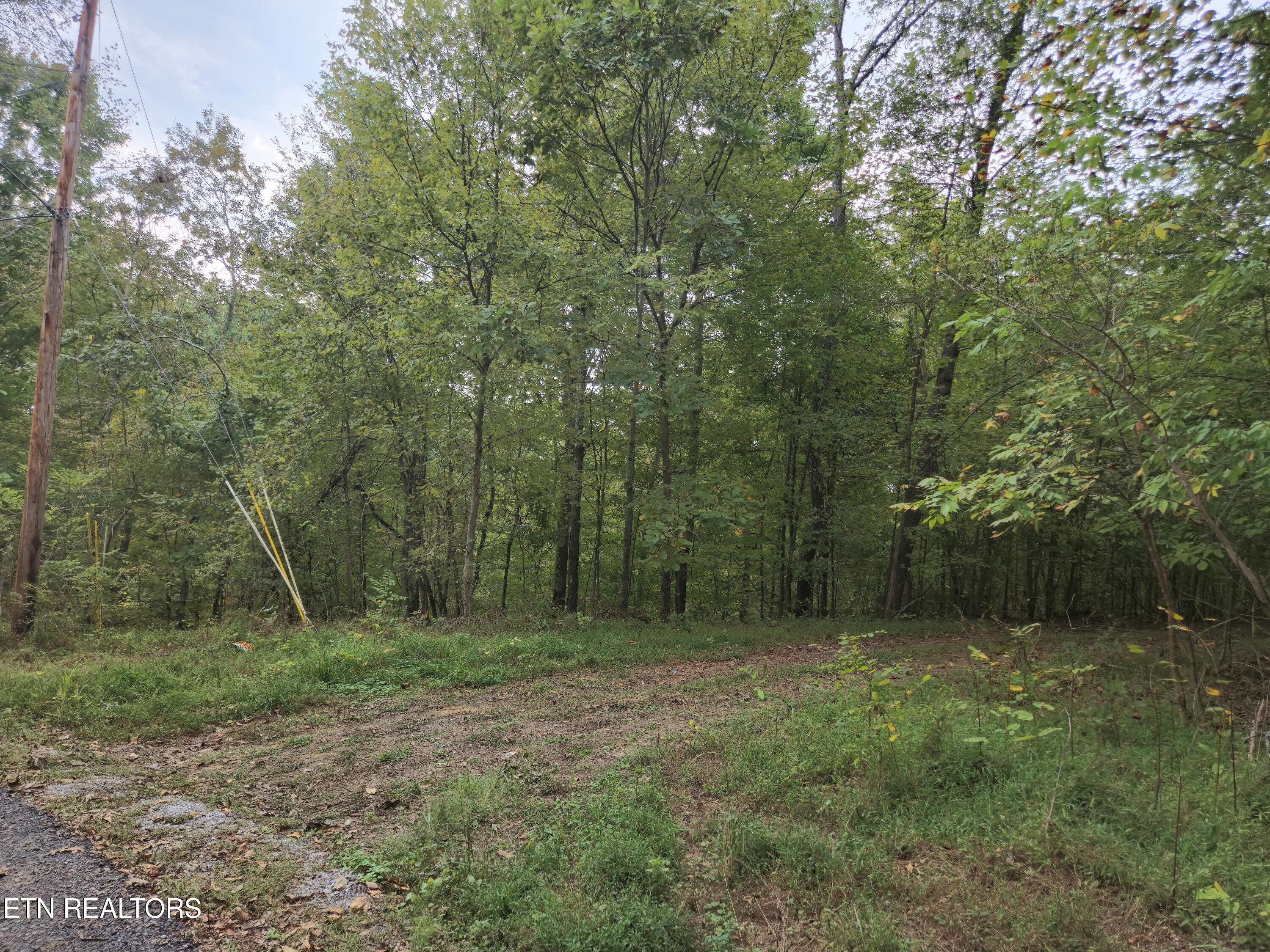 Hodges Court Baneberry TN 37890