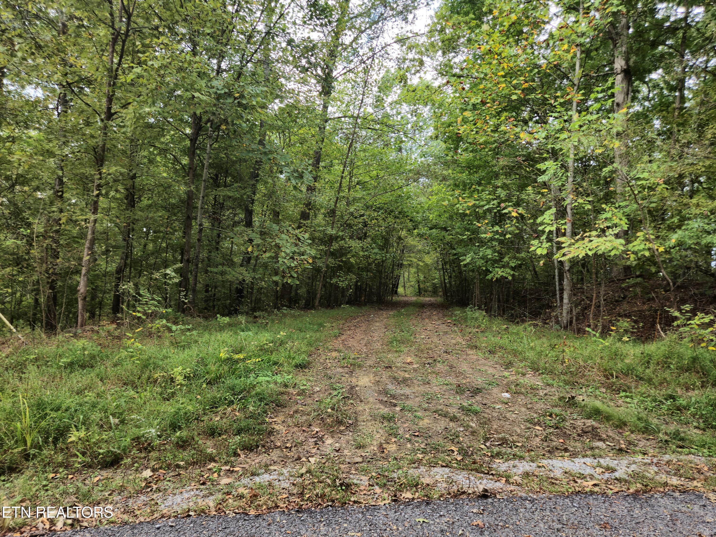 Hodges Court Baneberry TN 37890