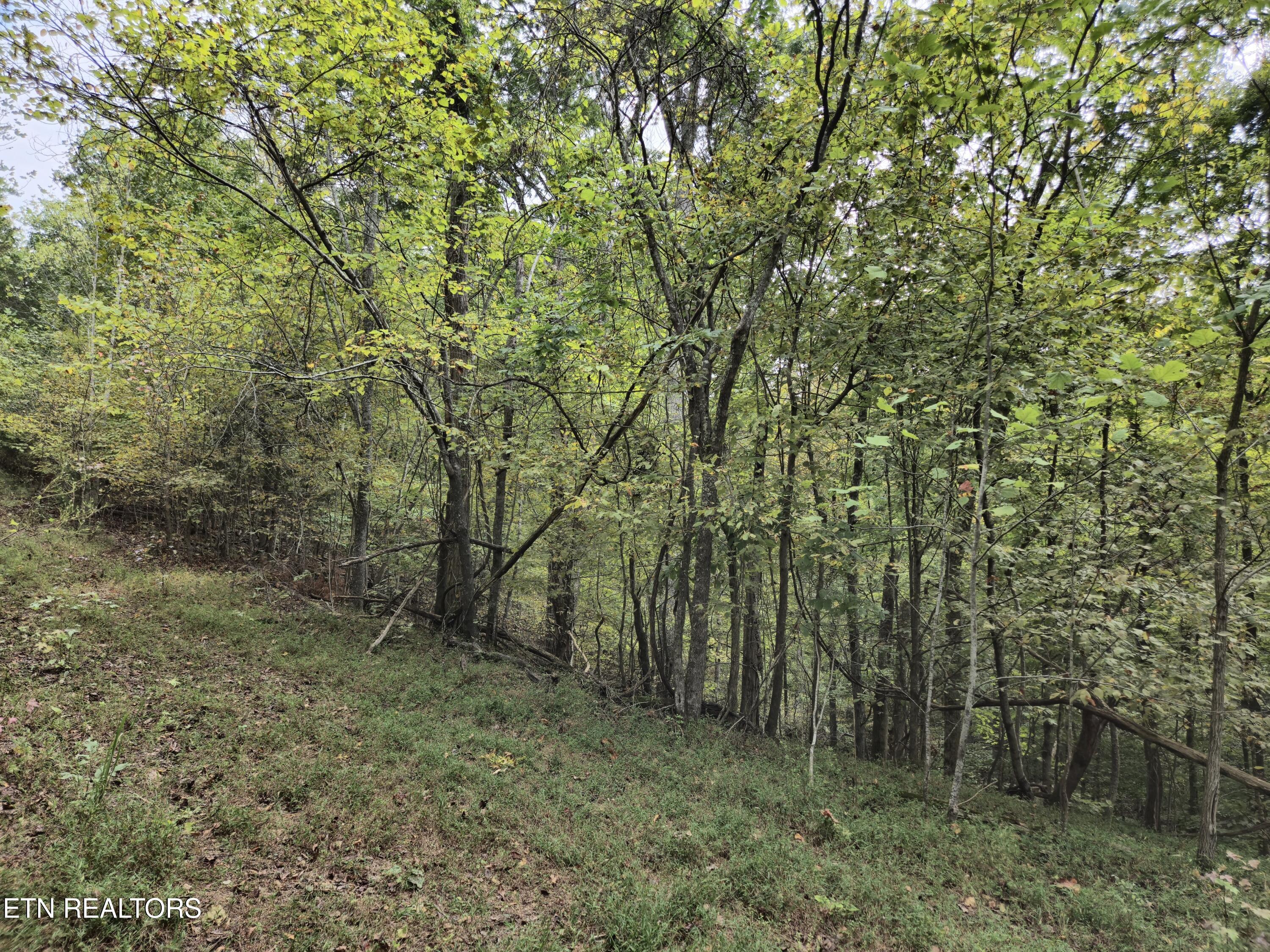 Hodges Court Baneberry TN 37890