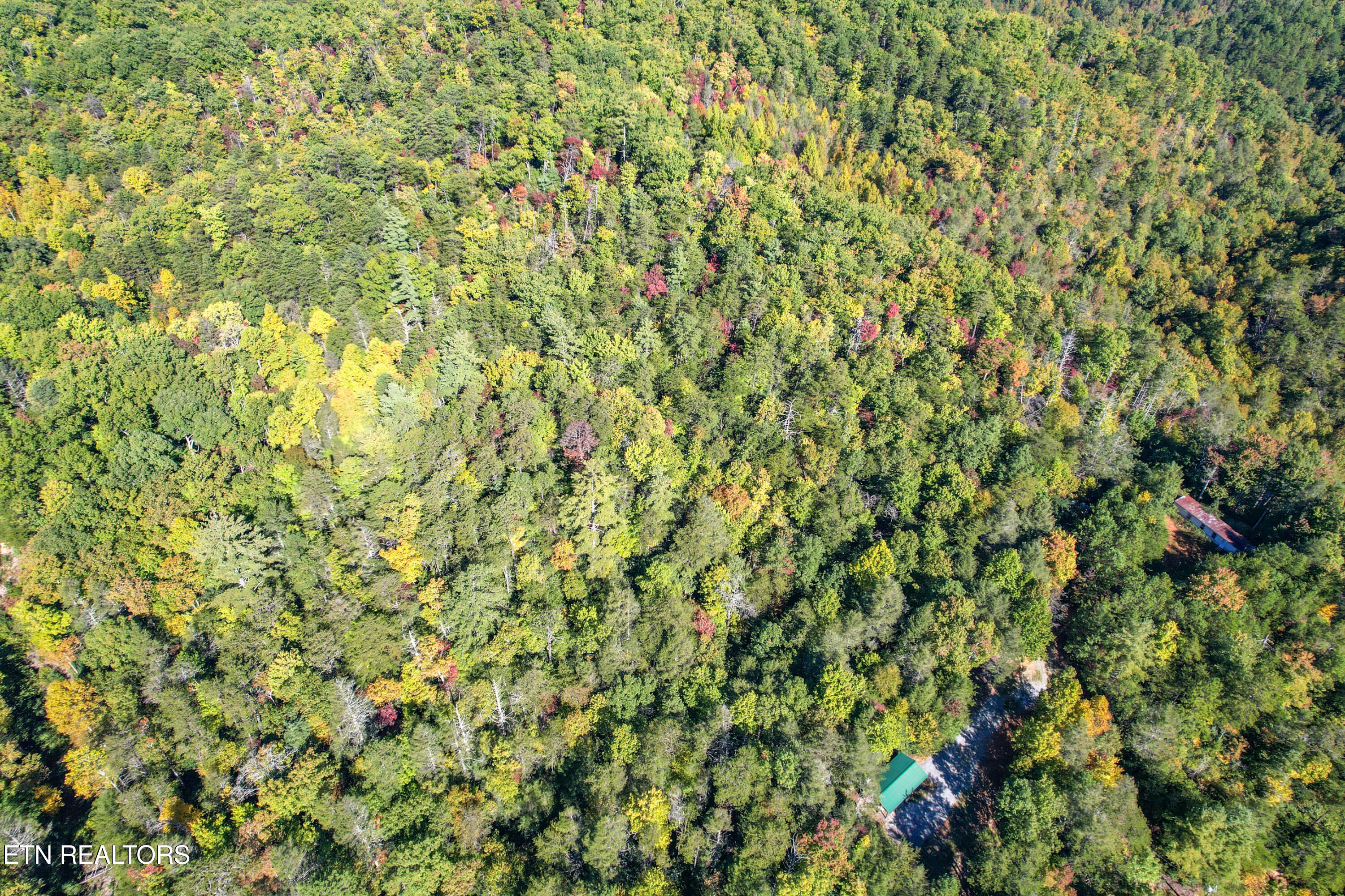 0 Branam Hollow Road Off Gatlinburg TN 37738