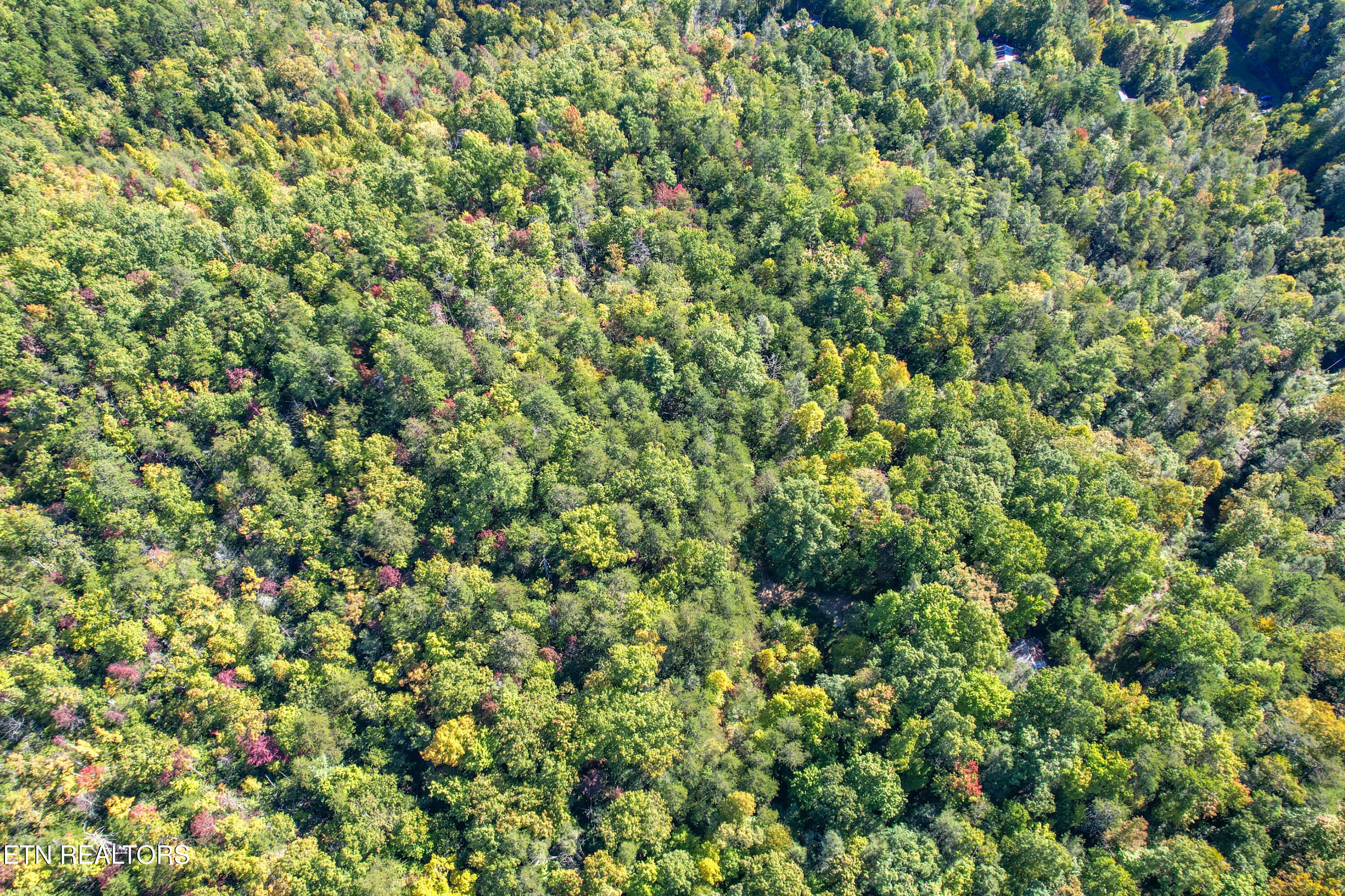 0 Branam Hollow Road Off Gatlinburg TN 37738