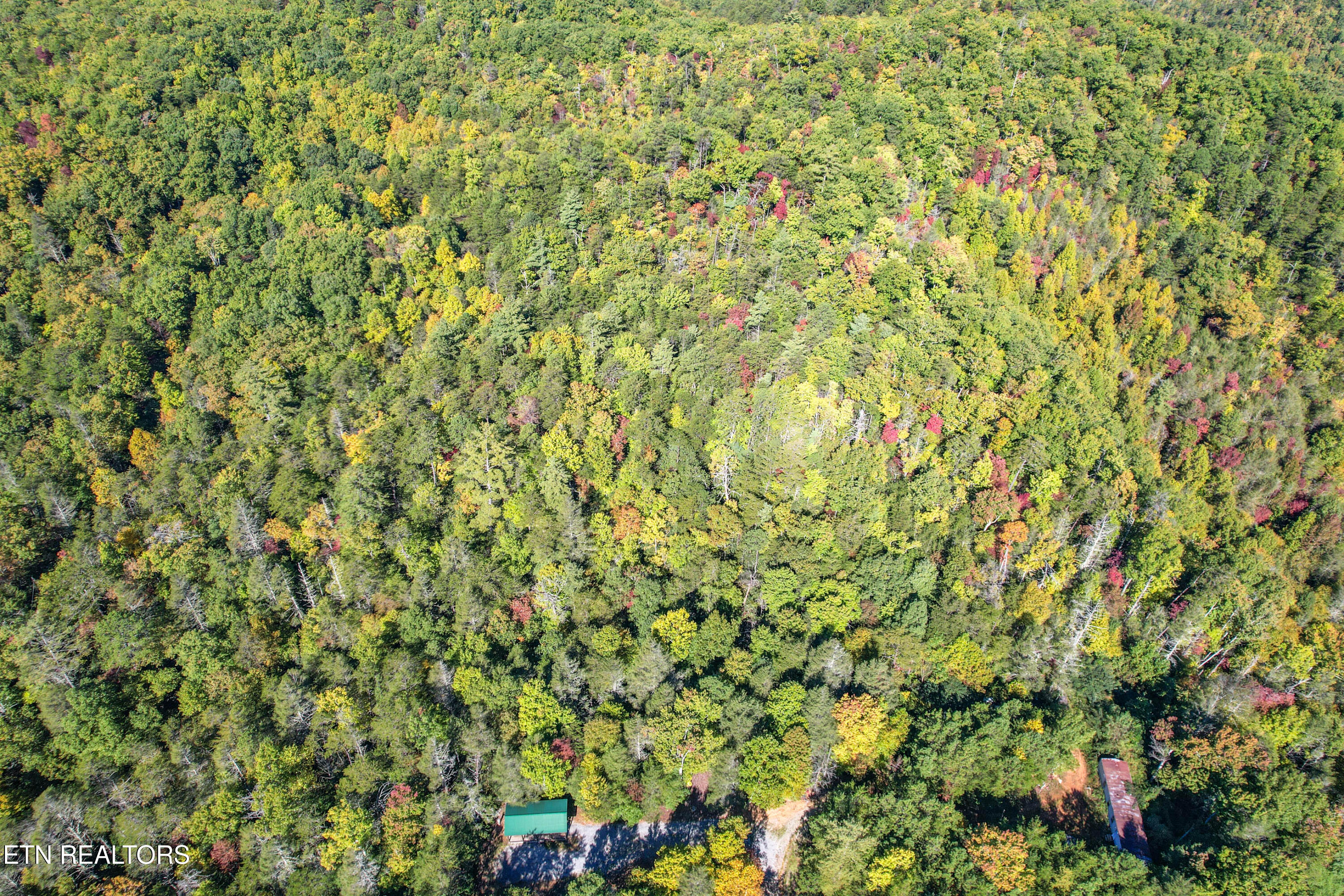 0 Branam Hollow Road Off Gatlinburg TN 37738
