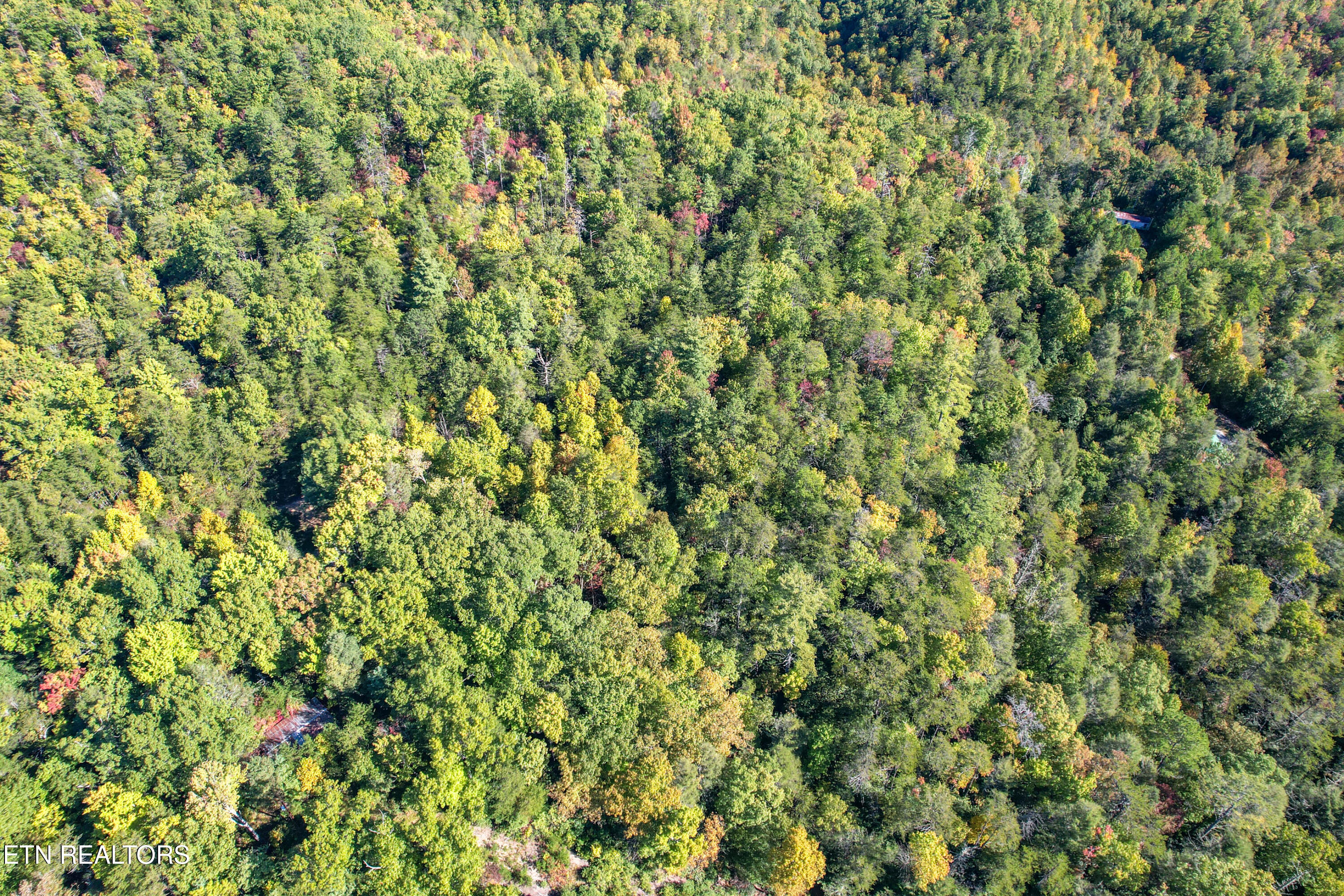 0 Branam Hollow Road Off Gatlinburg TN 37738