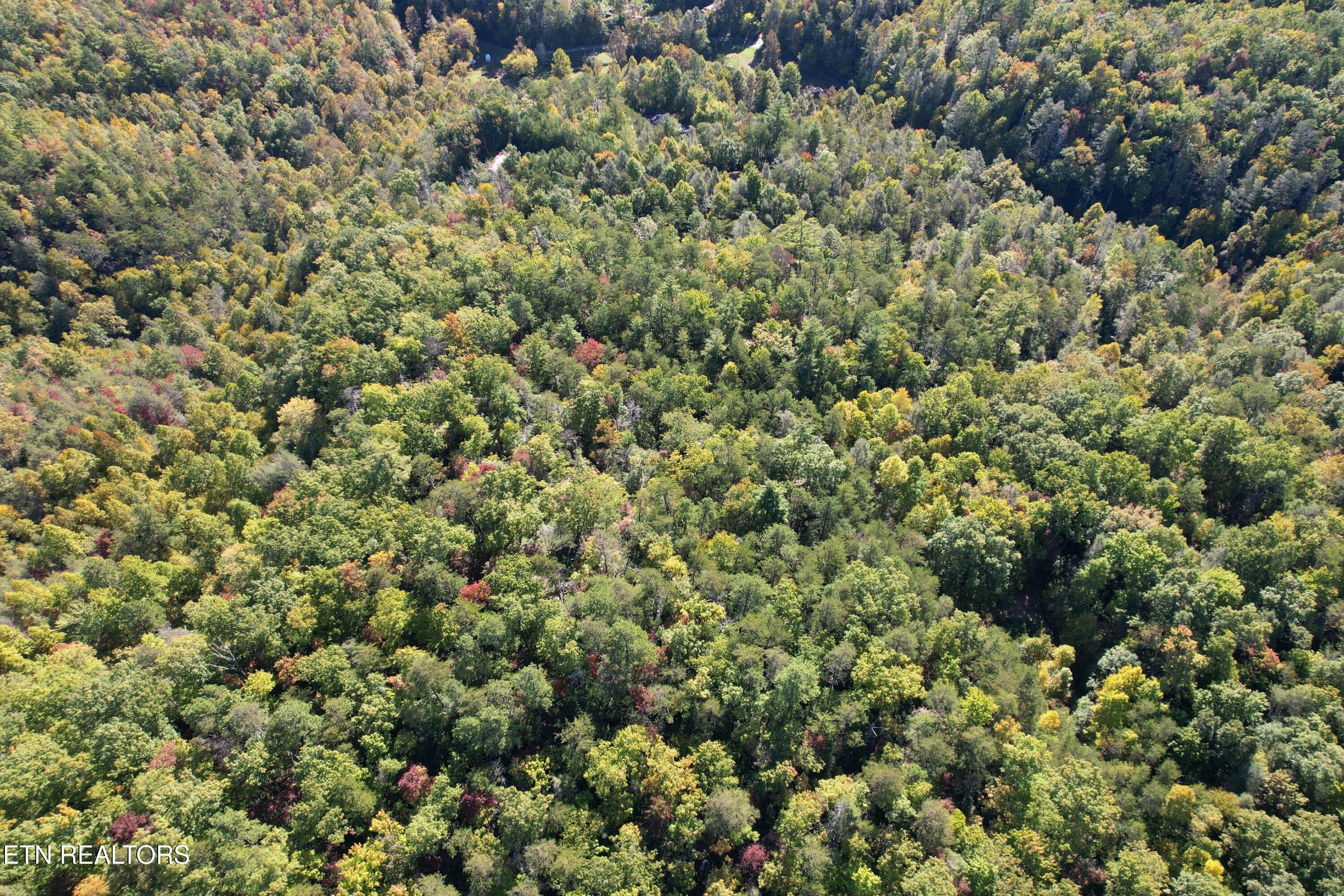 0 Branam Hollow Road Off Gatlinburg TN 37738