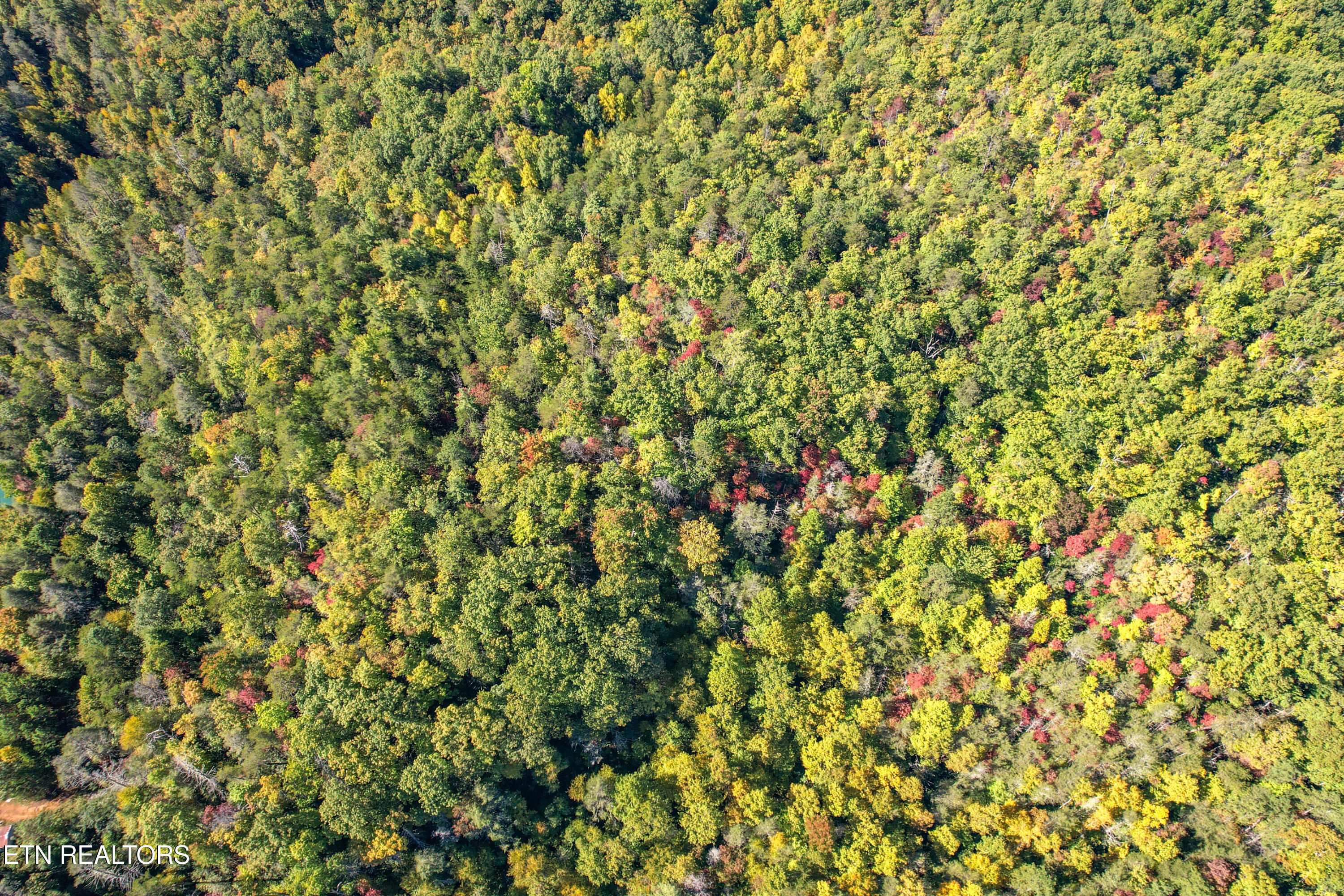0 Branam Hollow Road Off Gatlinburg TN 37738