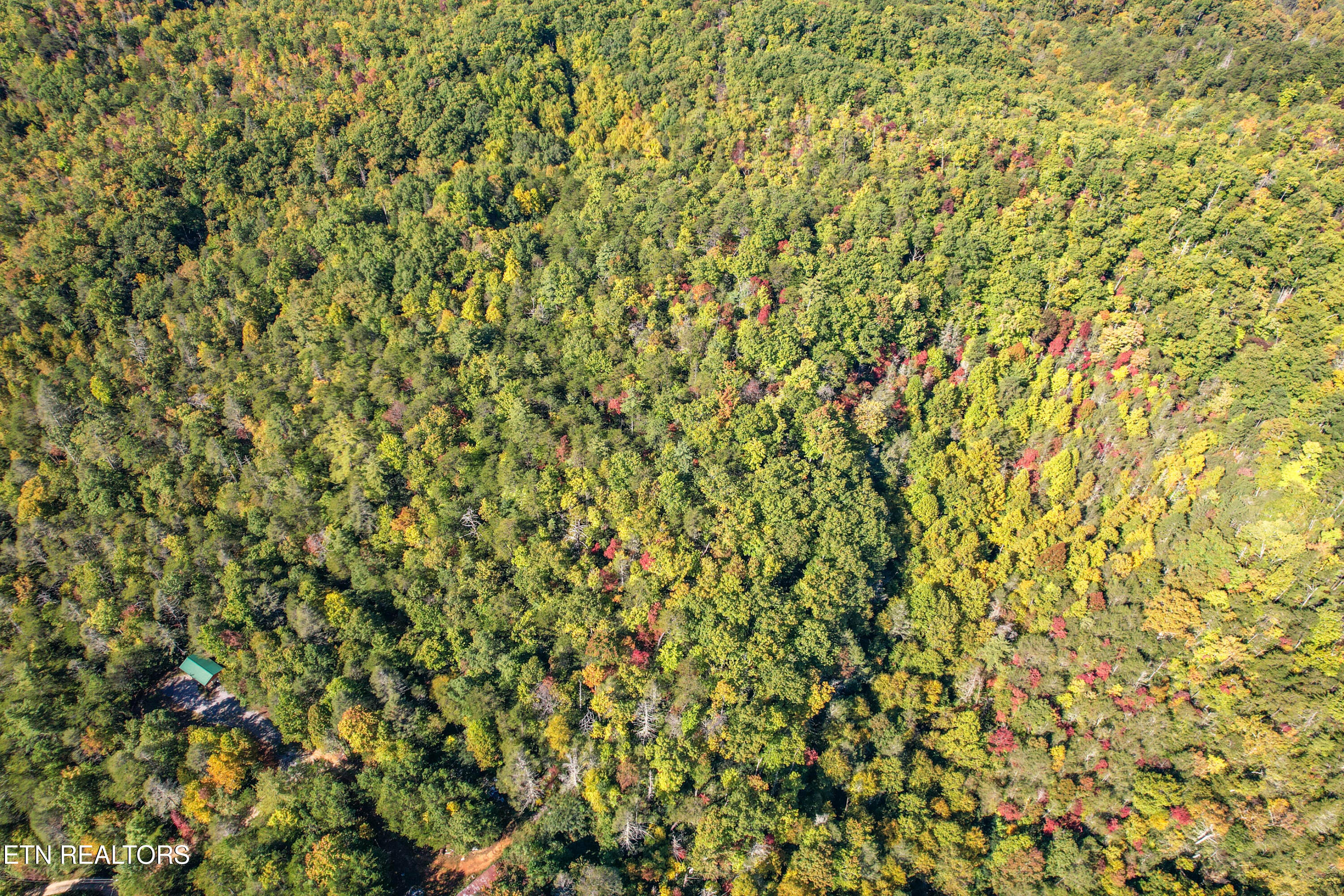 0 Branam Hollow Road Off Gatlinburg TN 37738