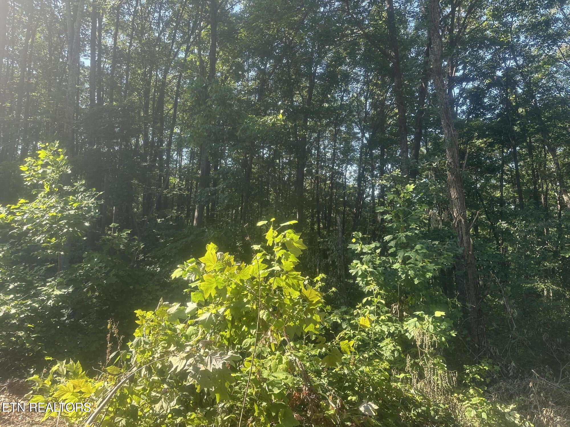 Renegade Mountain Parkway Crab Orchard TN 37723