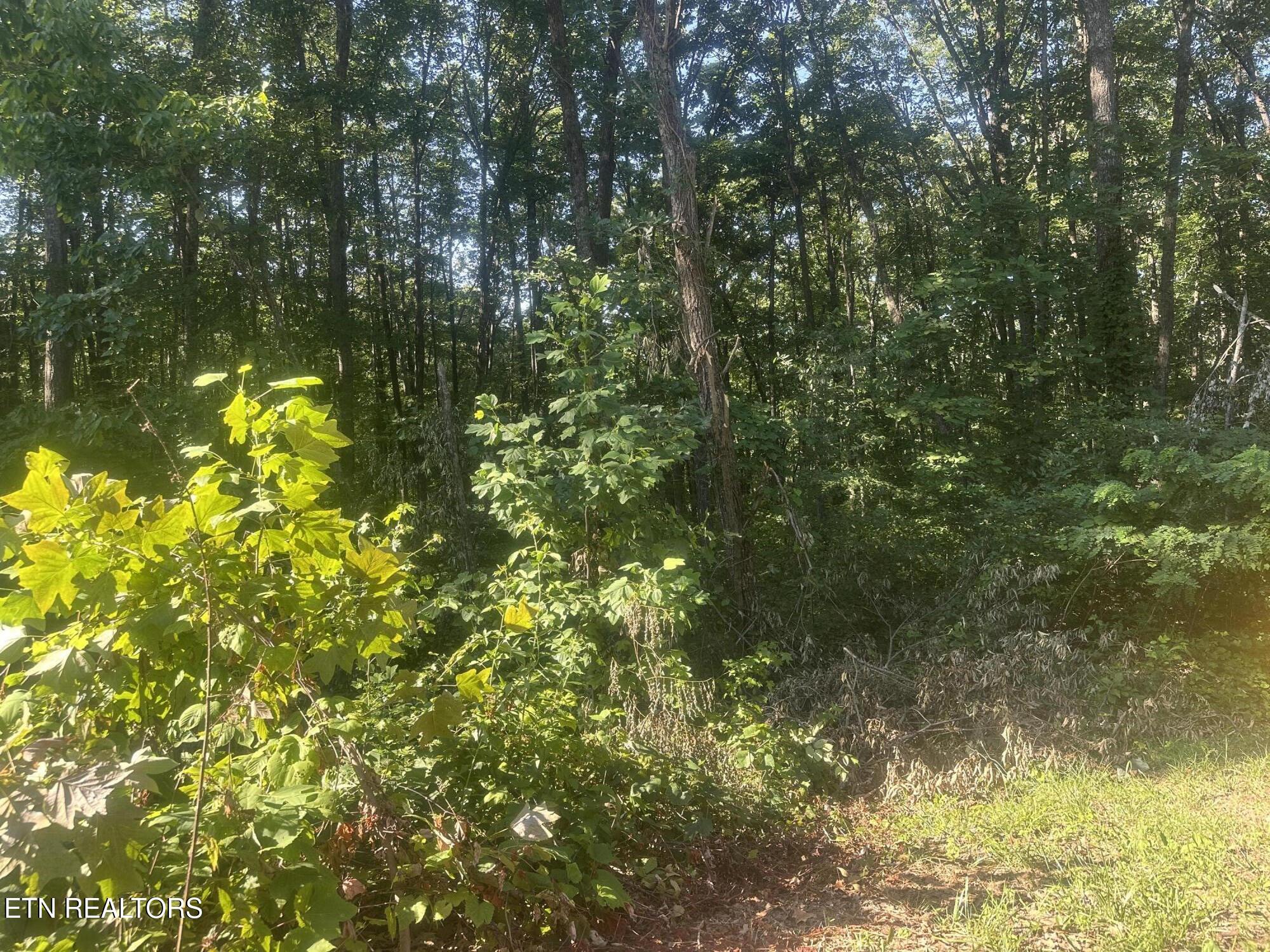Renegade Mountain Parkway Crab Orchard TN 37723