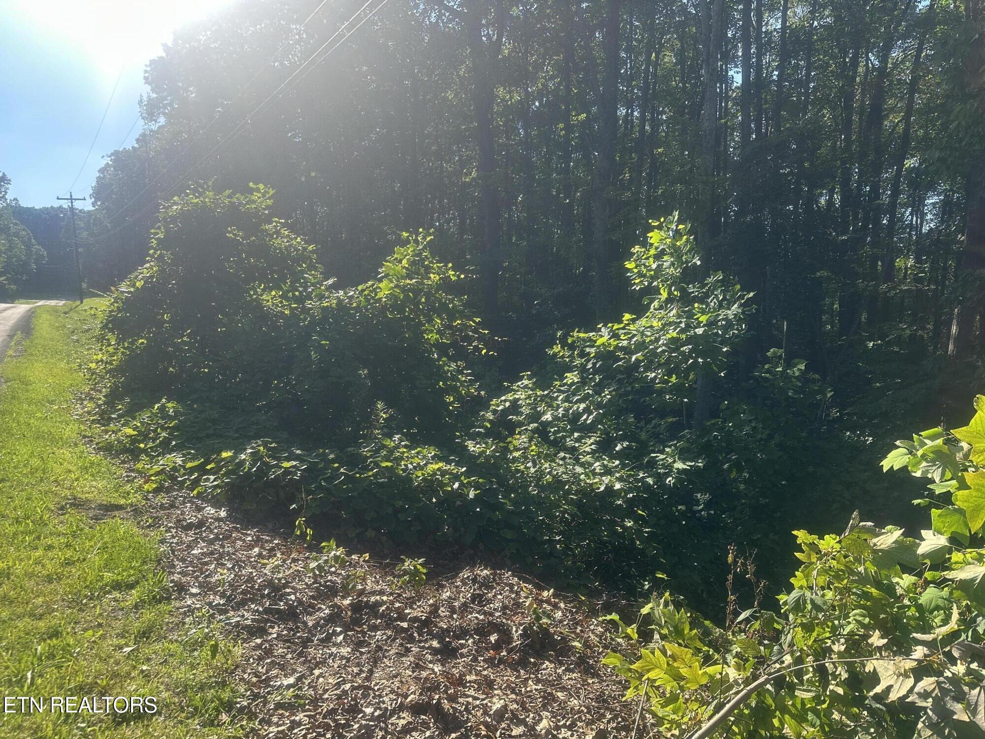 Renegade Mountain Parkway Crab Orchard TN 37723