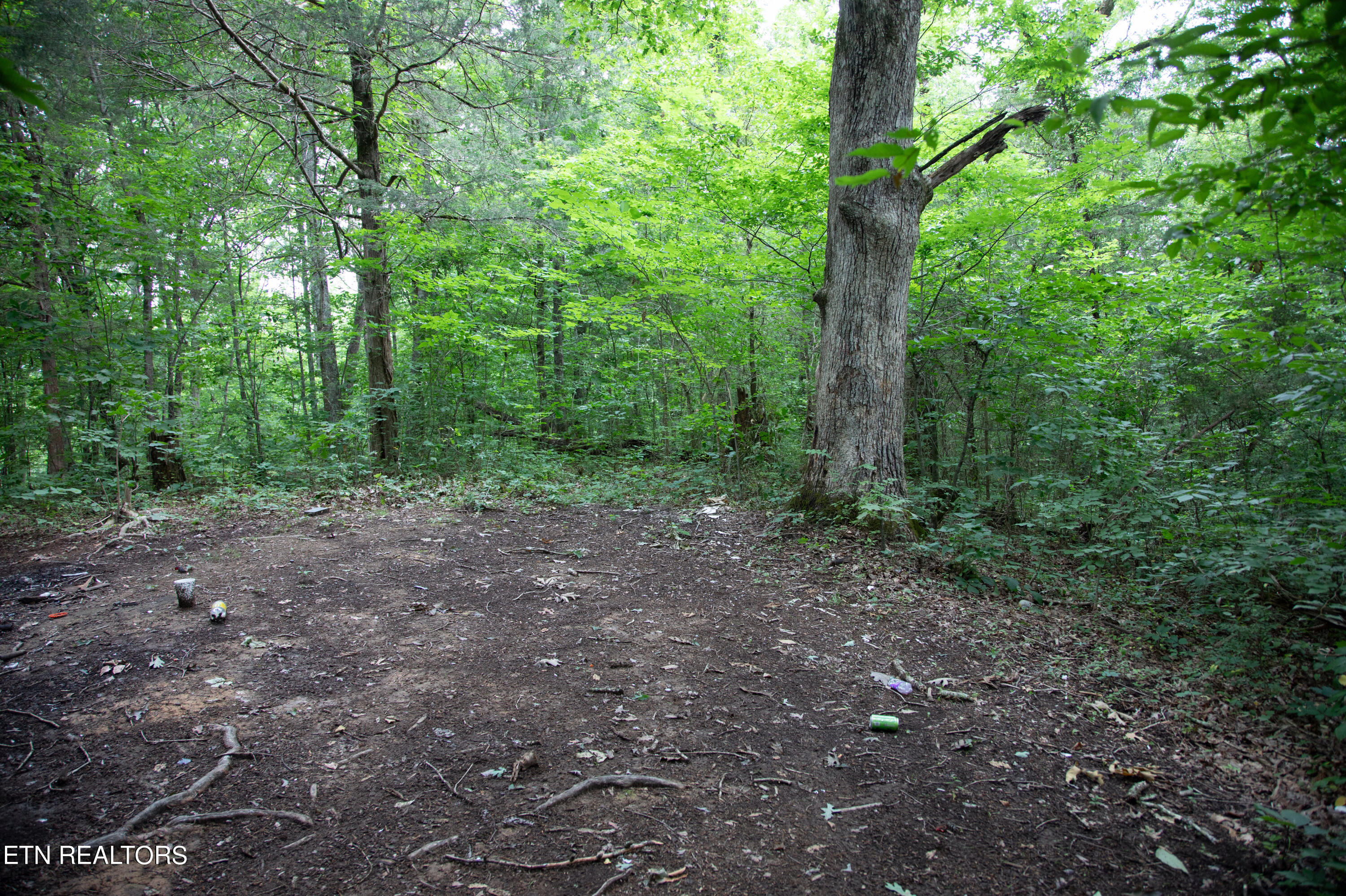 0 Scenic View Drive Cosby TN 37722