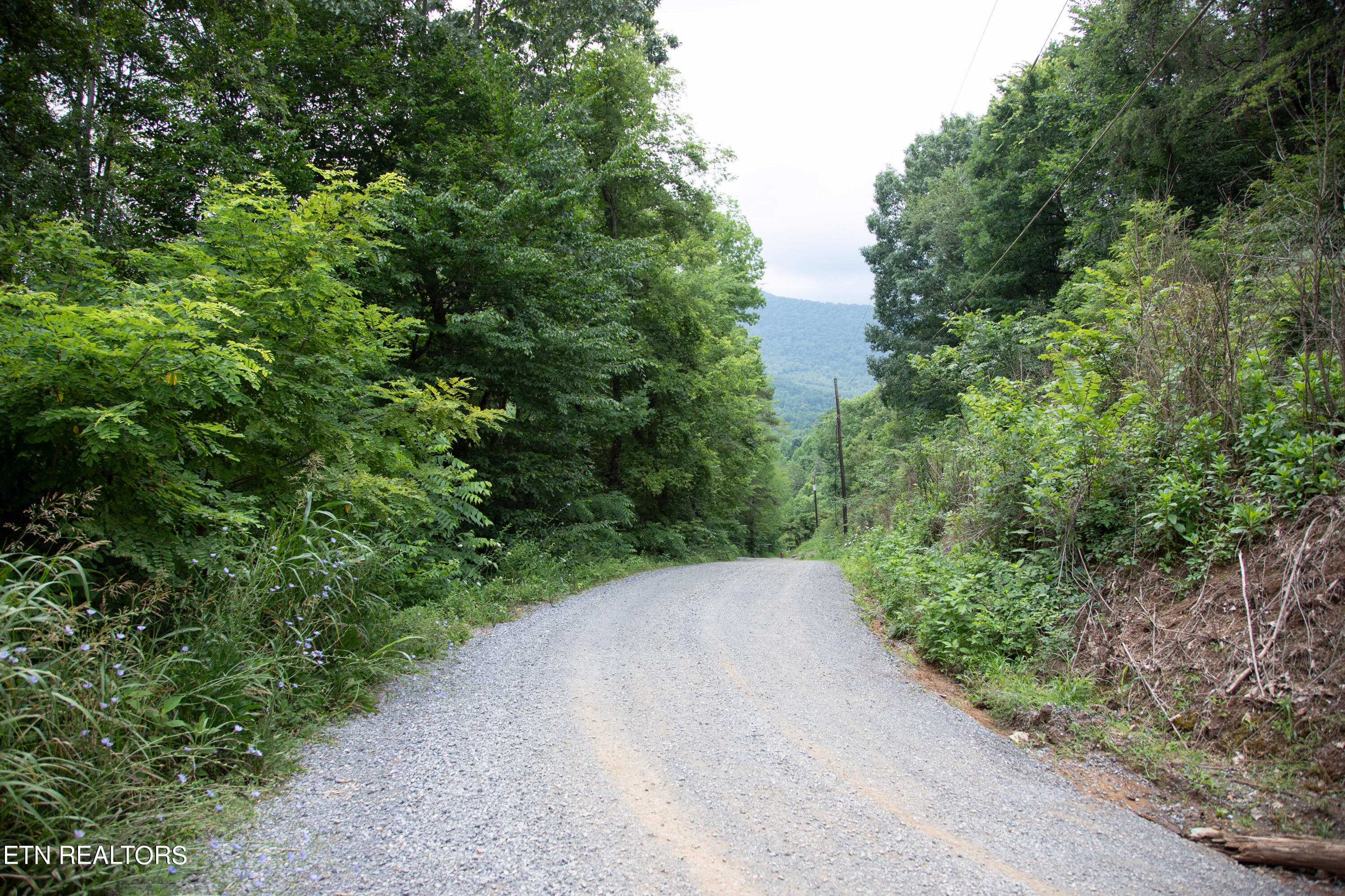0 Scenic View Drive Cosby TN 37722