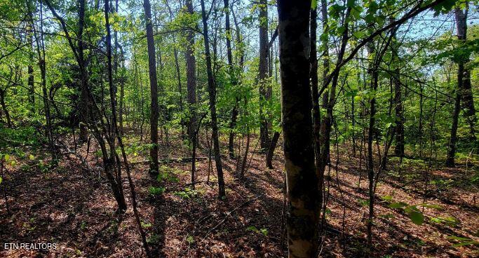 Laurel Loop Monterey TN 38574