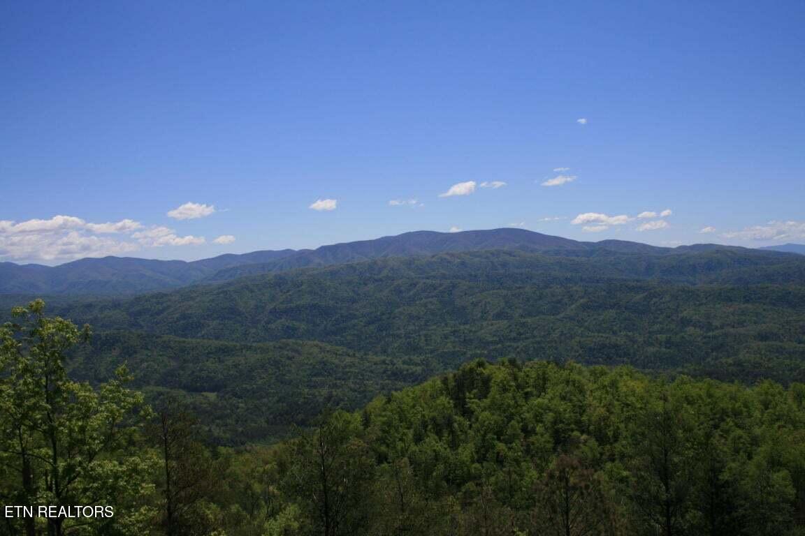 4951 Look Rock Crest Drive Maryville TN 37803