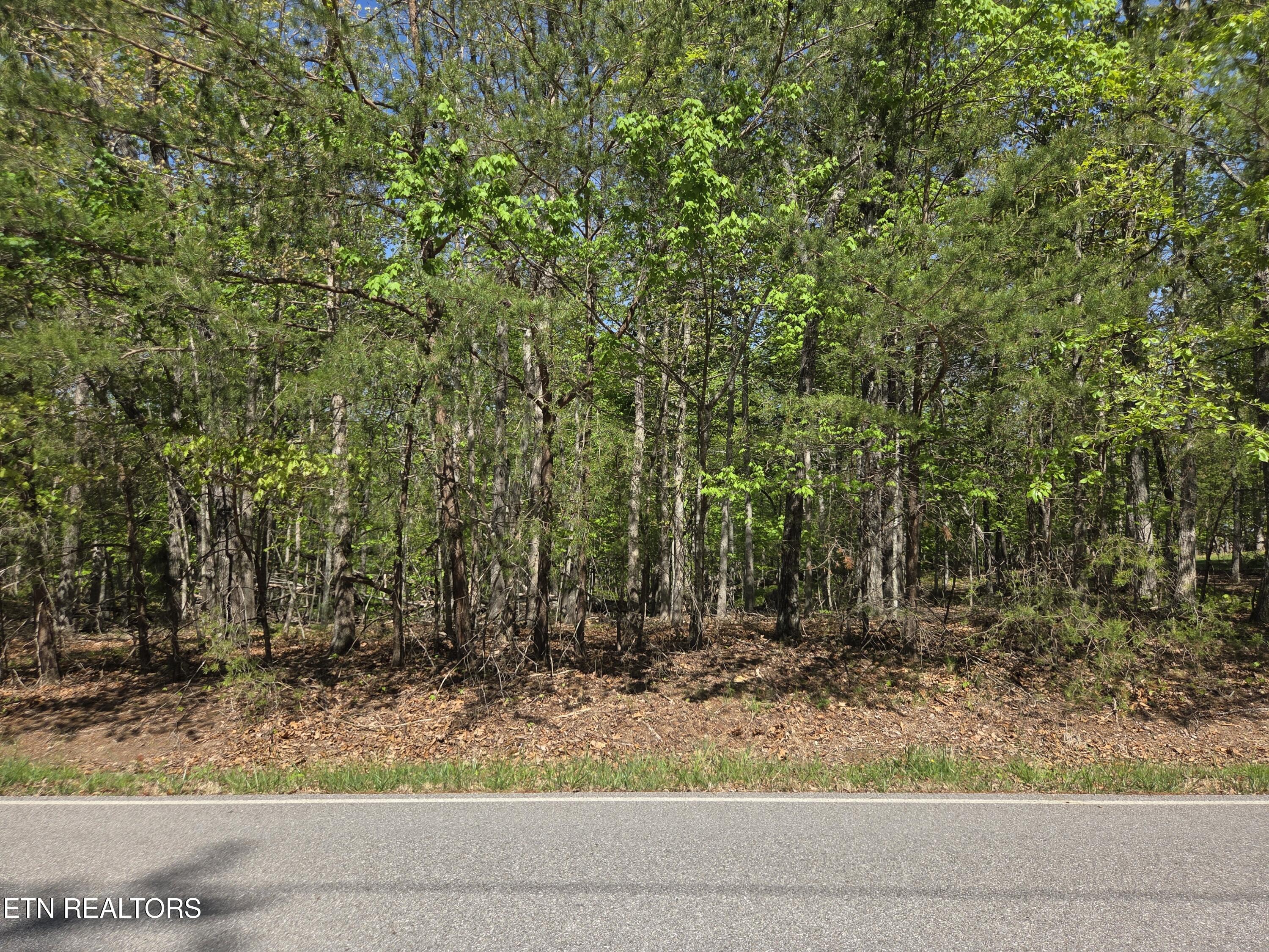 375 Rotherham Drive Crossville TN 38558