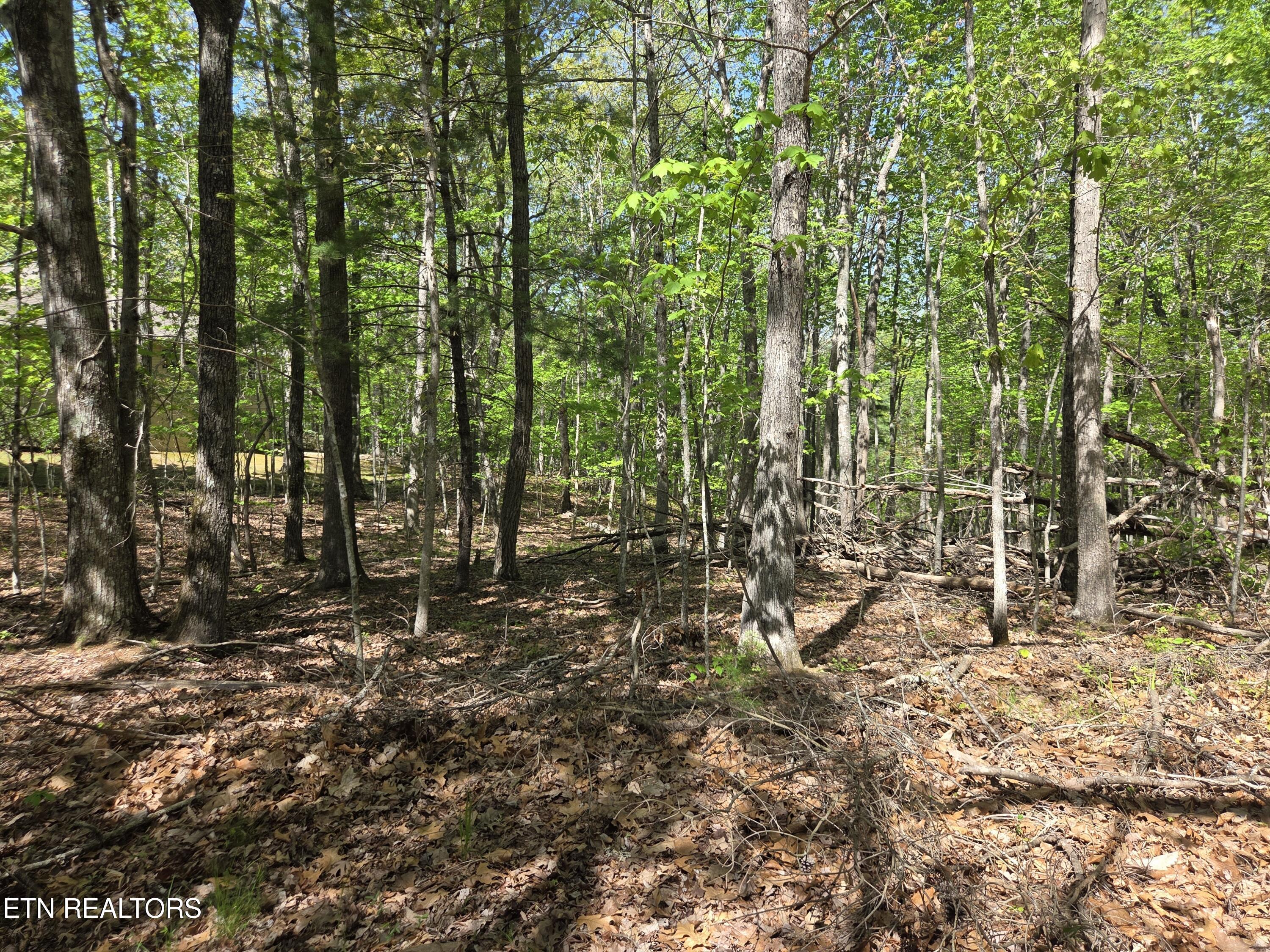 375 Rotherham Drive Crossville TN 38558