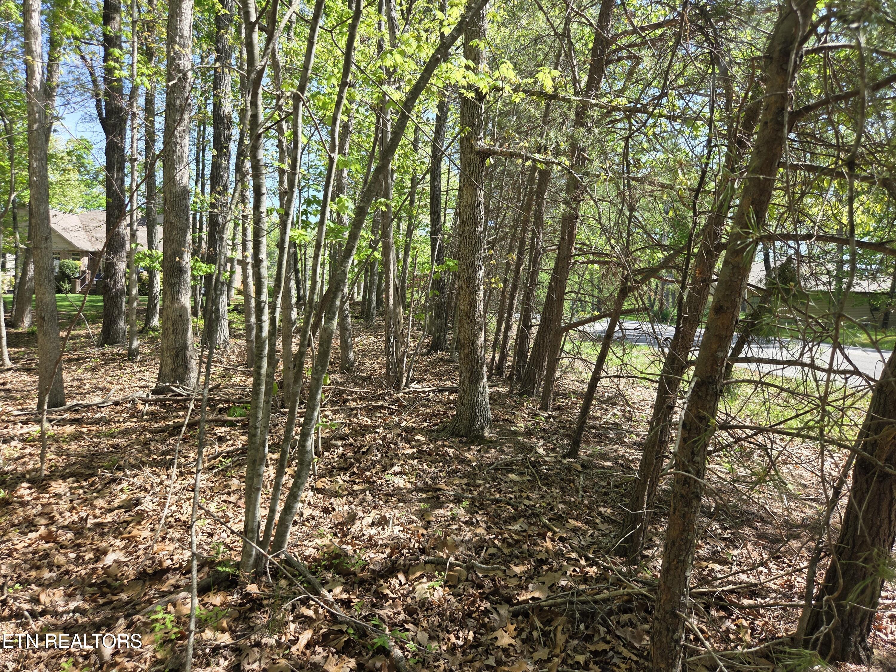 375 Rotherham Drive Crossville TN 38558