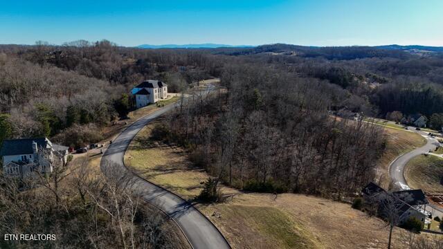 2035 Turners Landing Road Russellville TN 37860