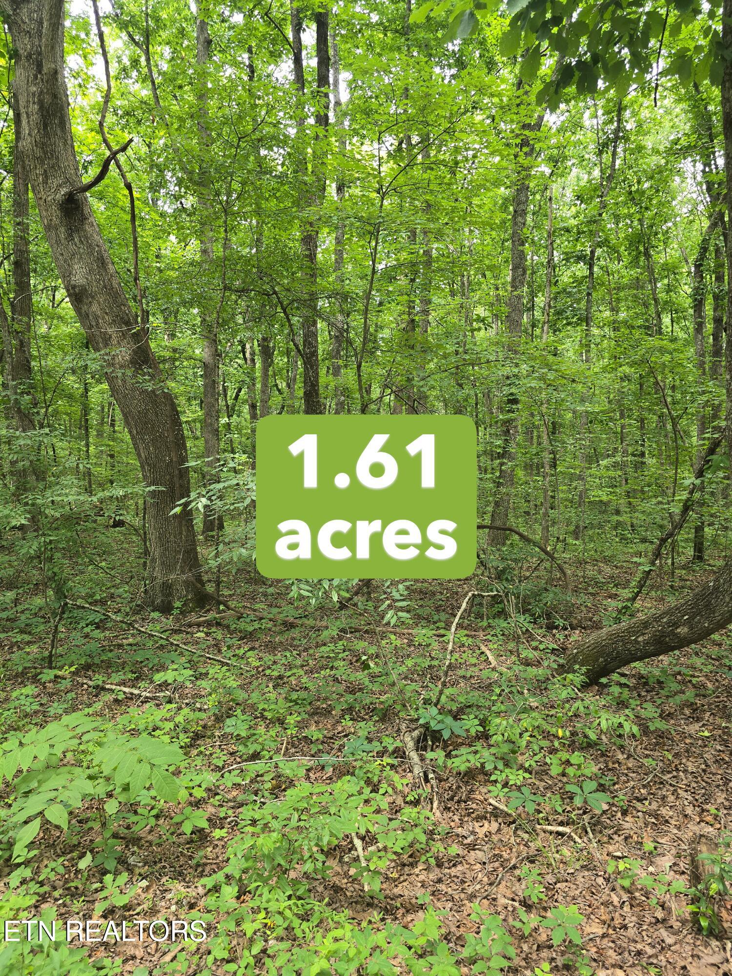 Lot 3 W Wind Way Crossville TN 38572