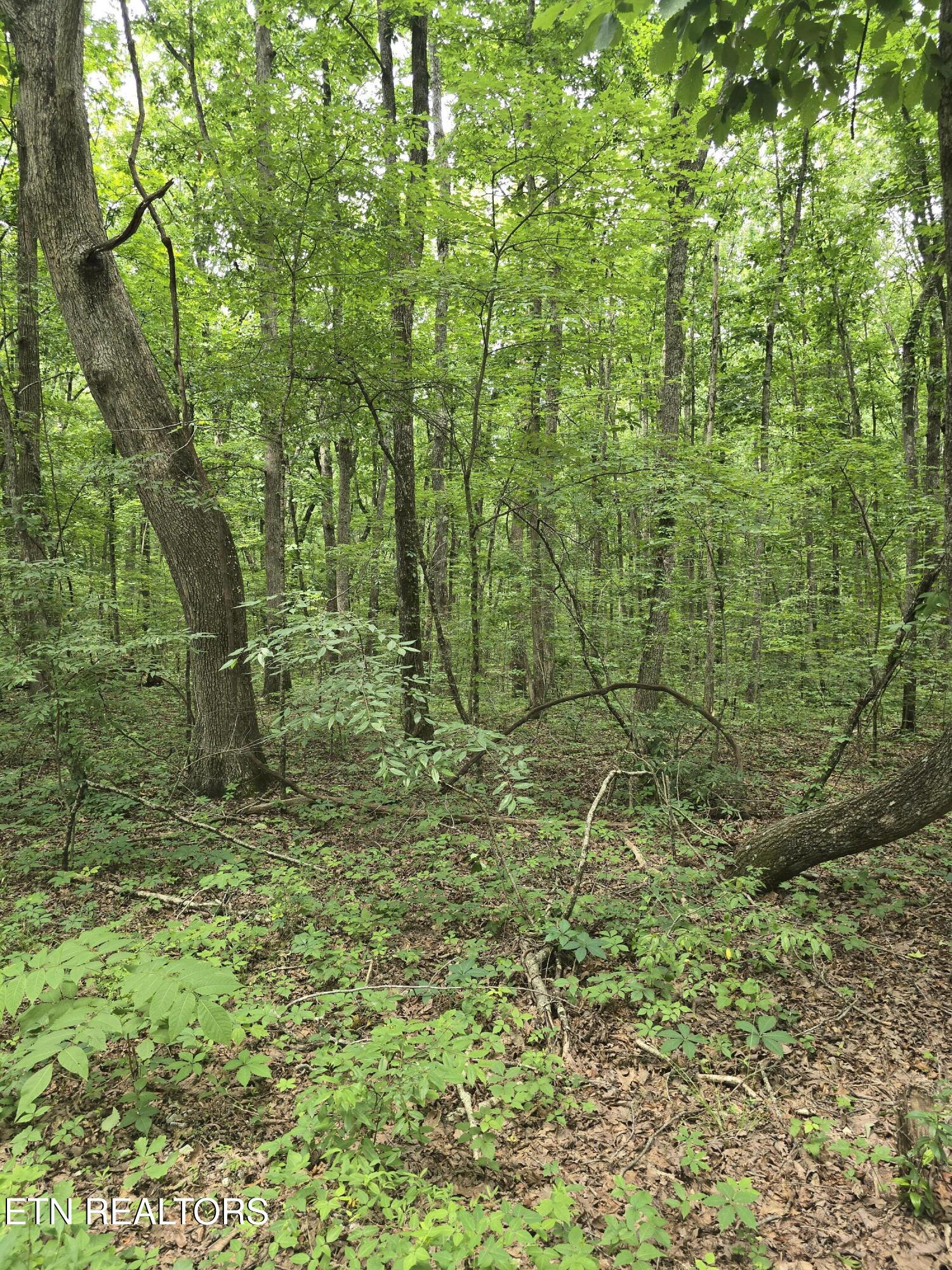 Lot 3 W Wind Way Crossville TN 38572